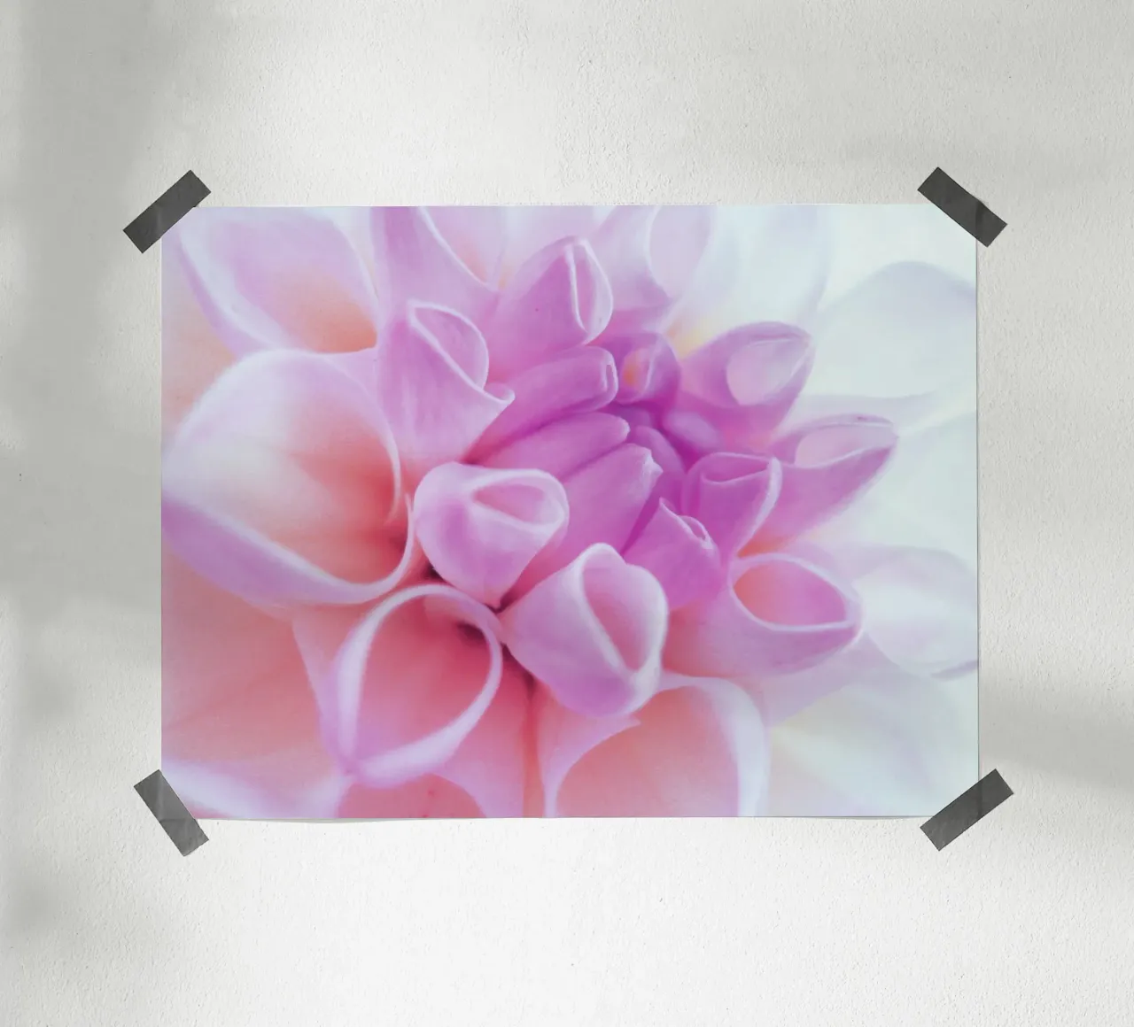 Flower poster da Jonas Klein