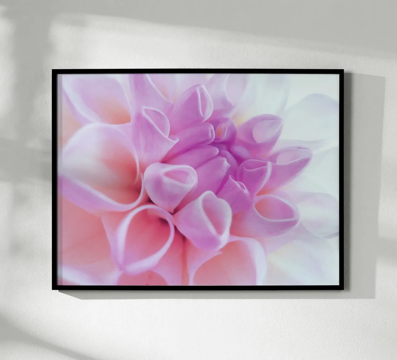 Flower poster da Jonas Klein