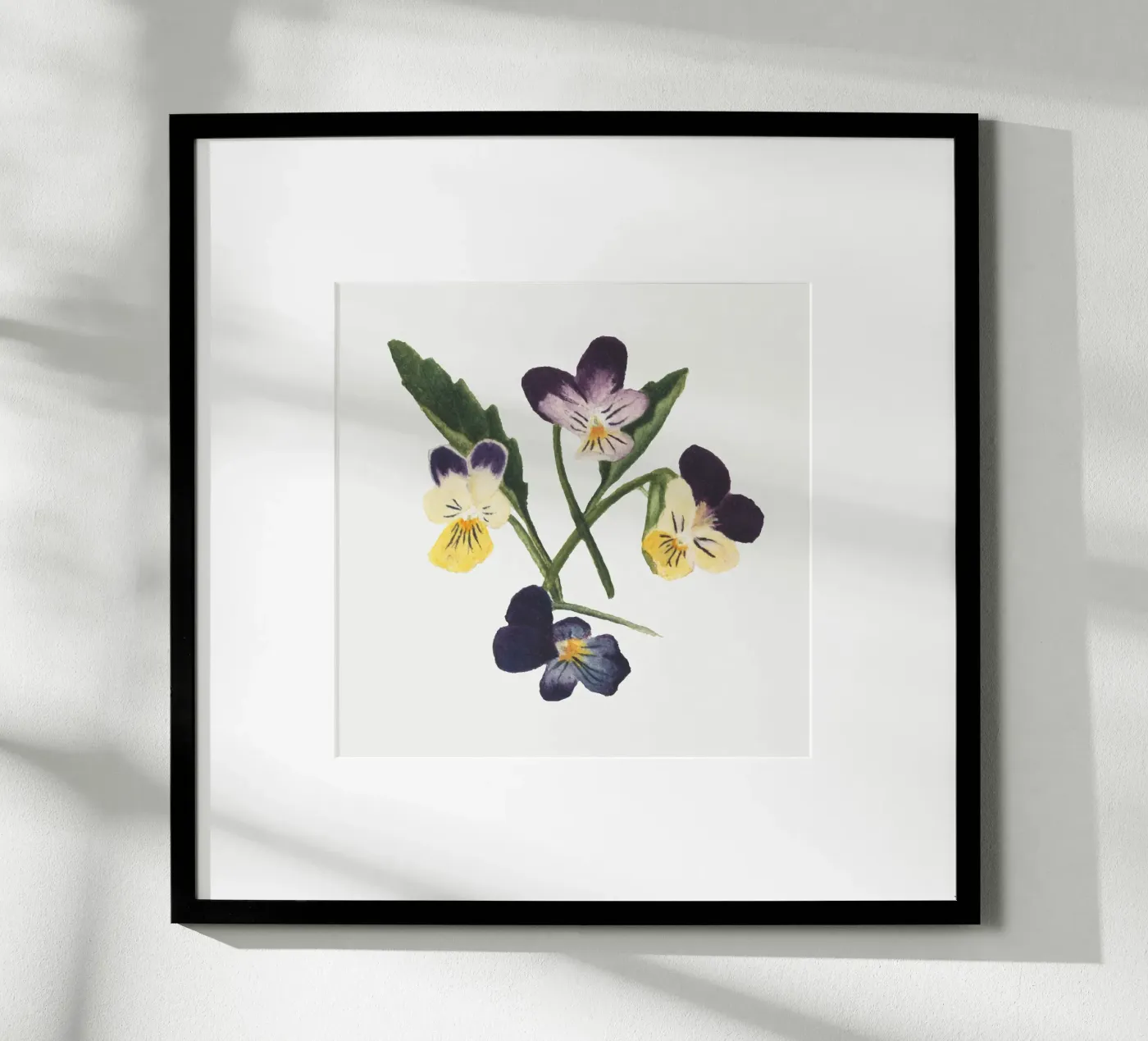 Pansies draw poster da vintageshop