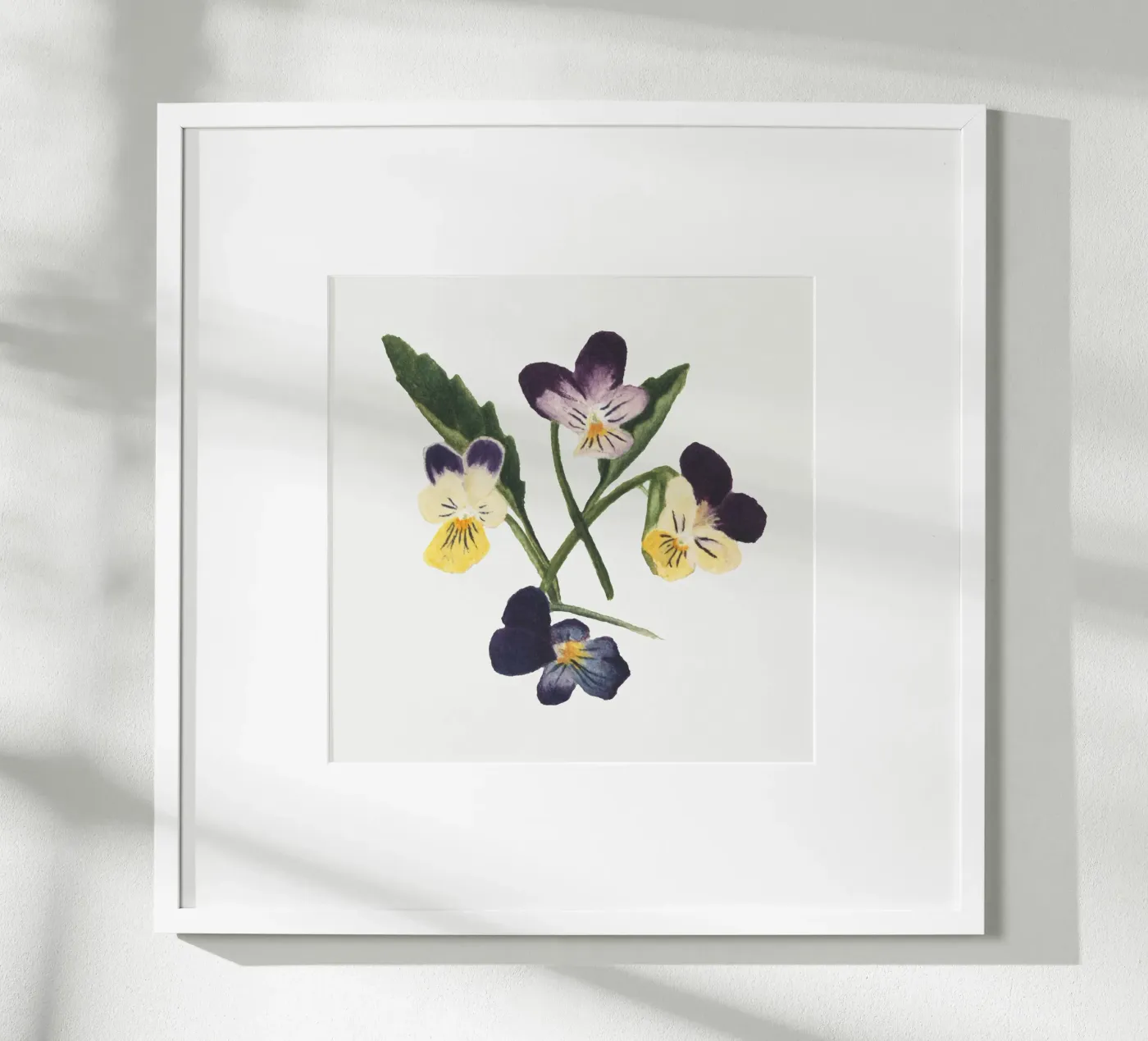 Pansies draw poster da vintageshop