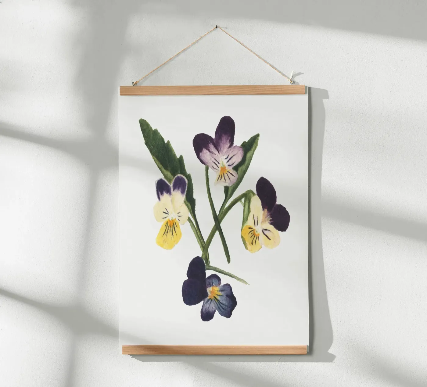 Pansies draw poster da vintageshop