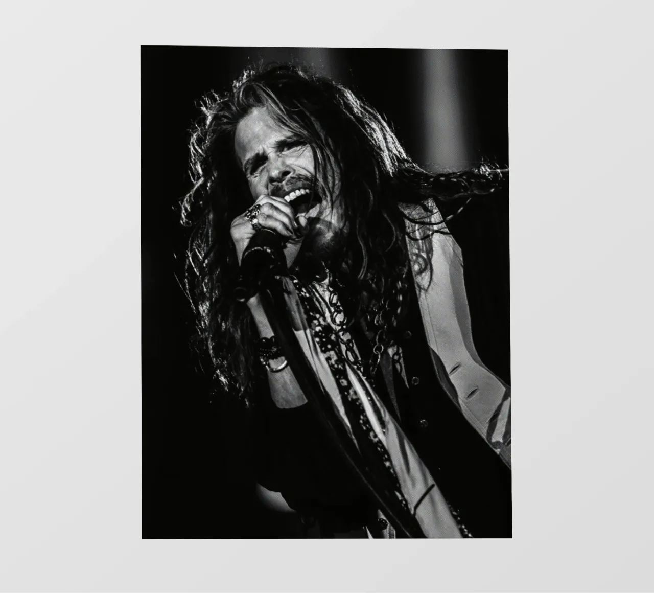 Steven Tyler telo in pvc da Torres 9