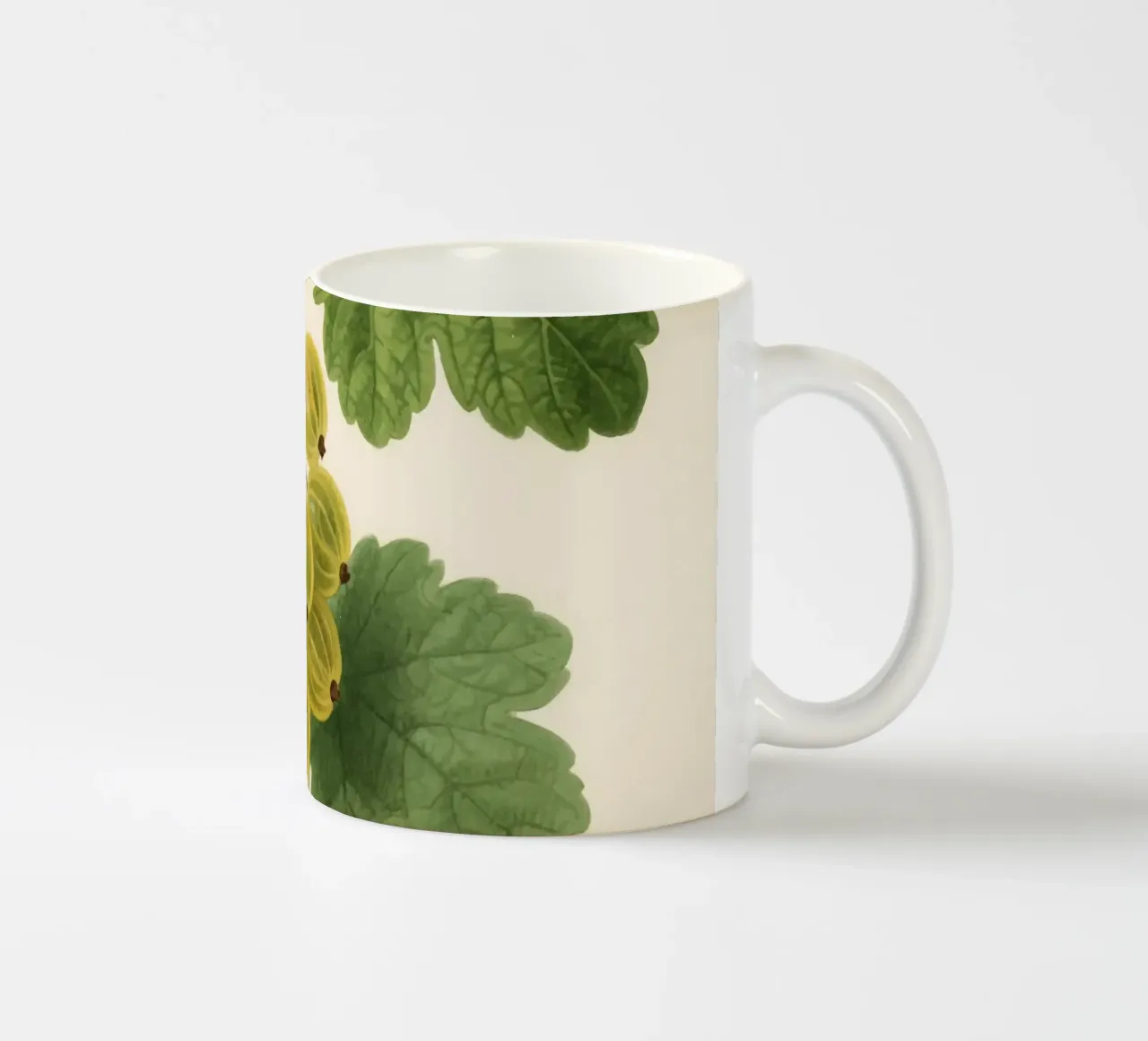 Uva spina Natura tazza in ceramica da knowledge