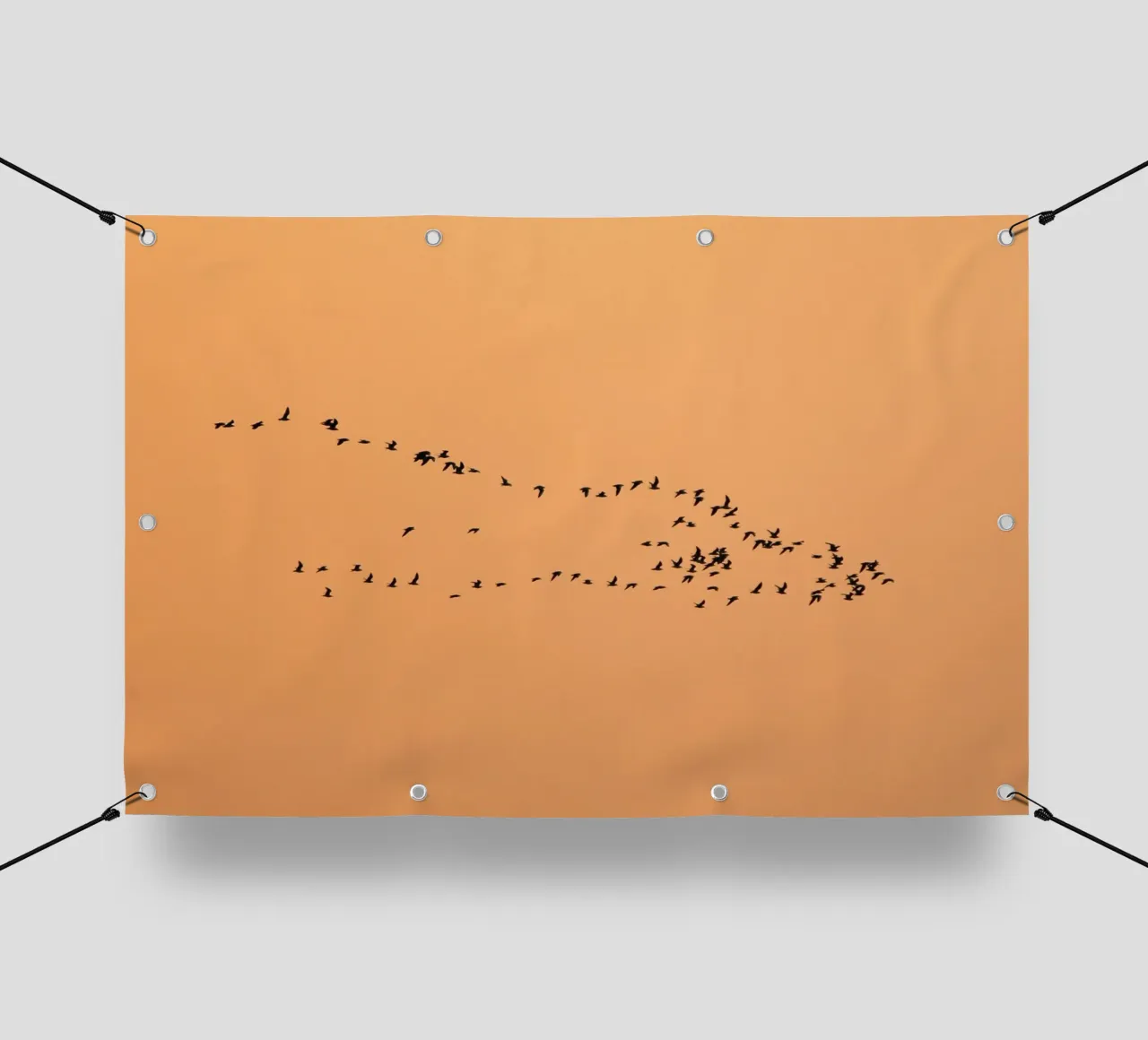 flock bird in shade telo in pvc da marty
