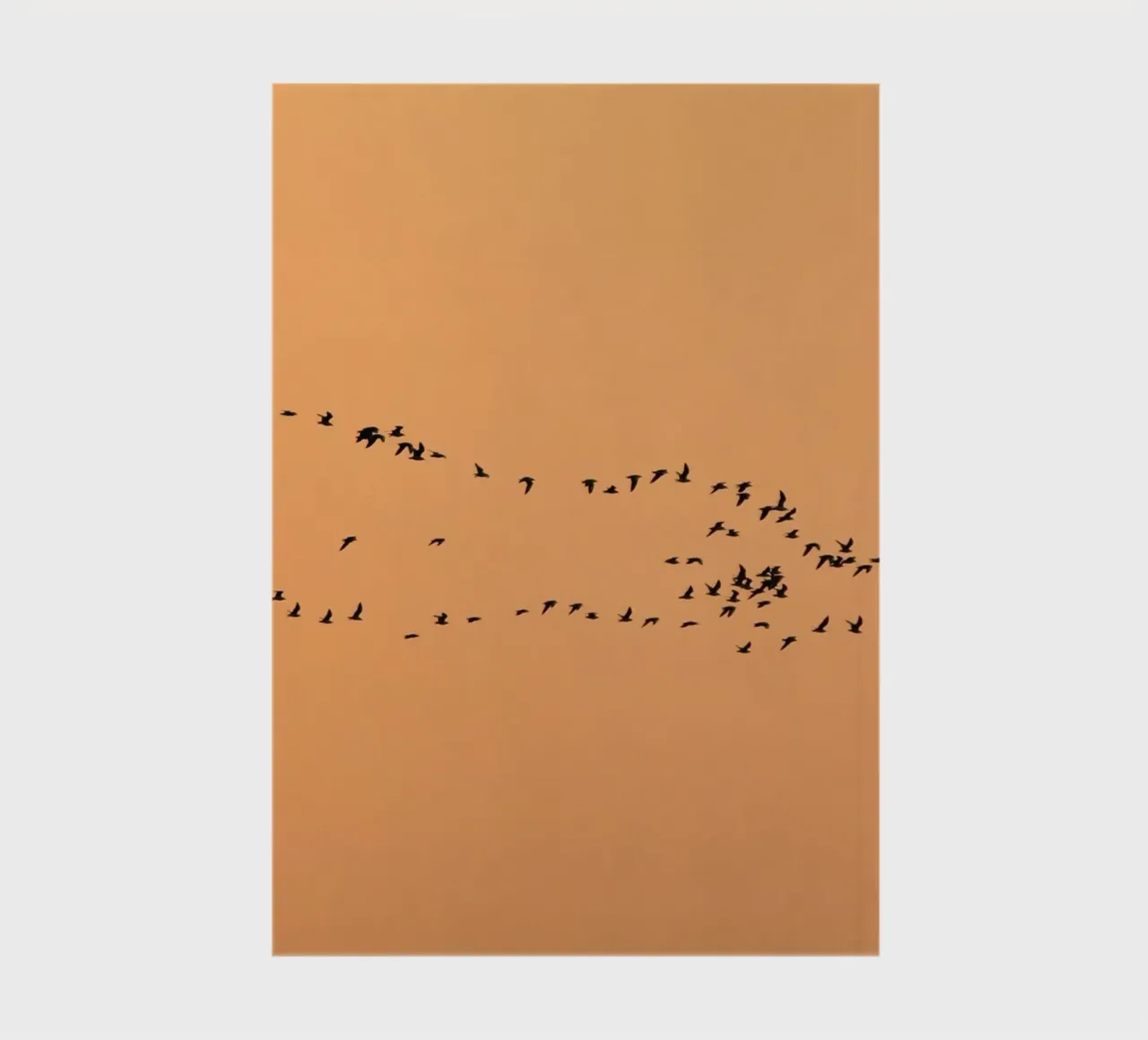 flock bird in shade notebook by marty