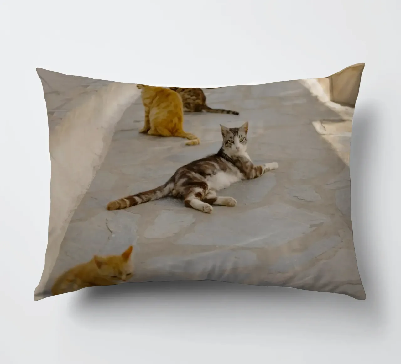 Gatti in Grecia cuscino da Simon Koy