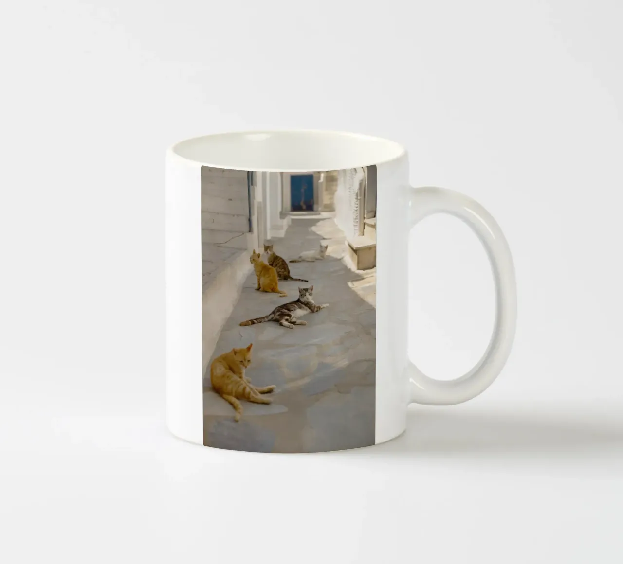 Gatti in Grecia tazza in ceramica da Simon Koy