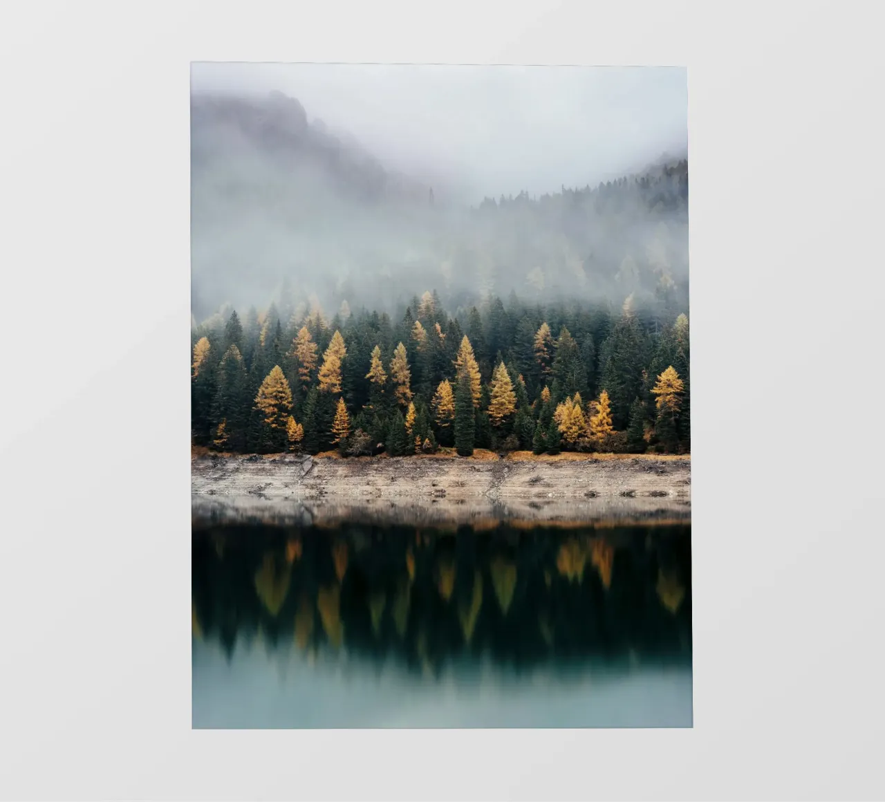 reflect forest on lake telo in pvc da juli