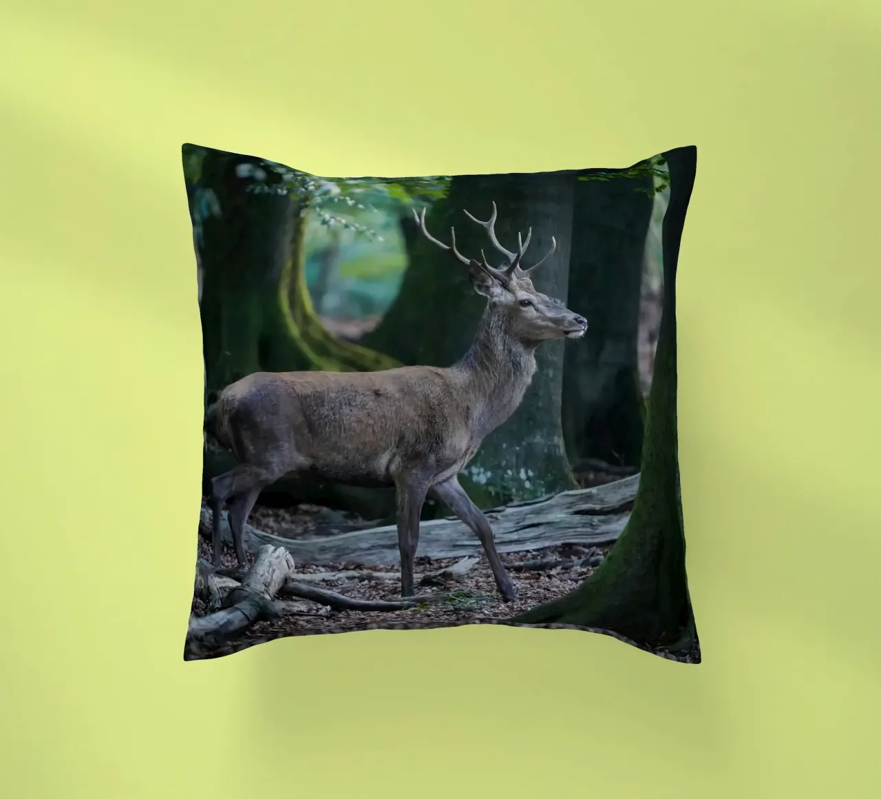 Cervo rosso nella foresta cuscino da Tom's Wildlife