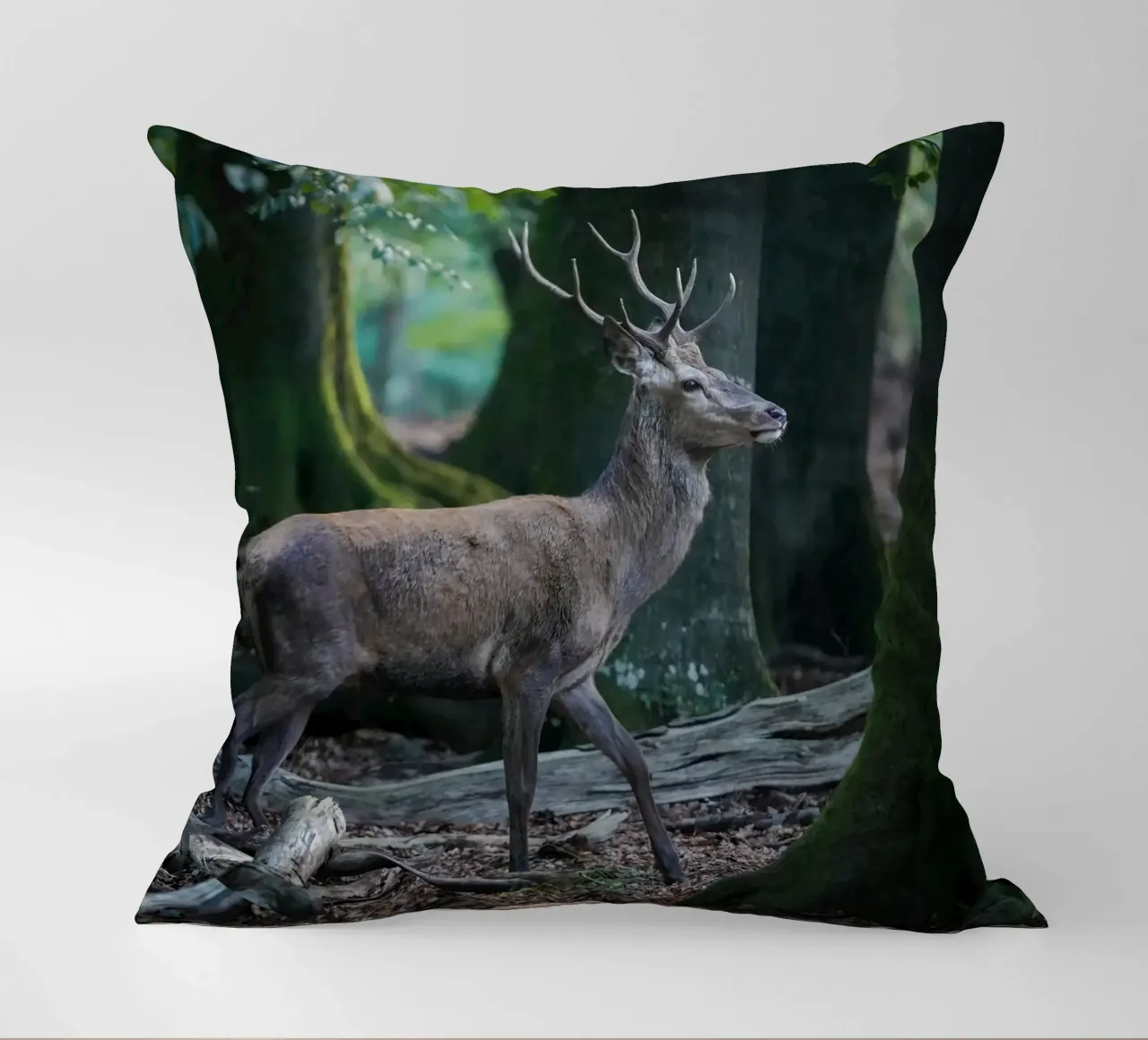 Cervo rosso nella foresta cuscino da Tom's Wildlife