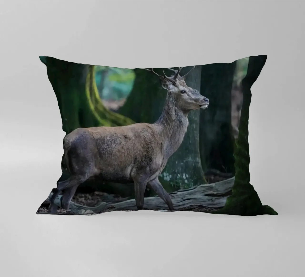 Cervo rosso nella foresta cuscino da Tom's Wildlife