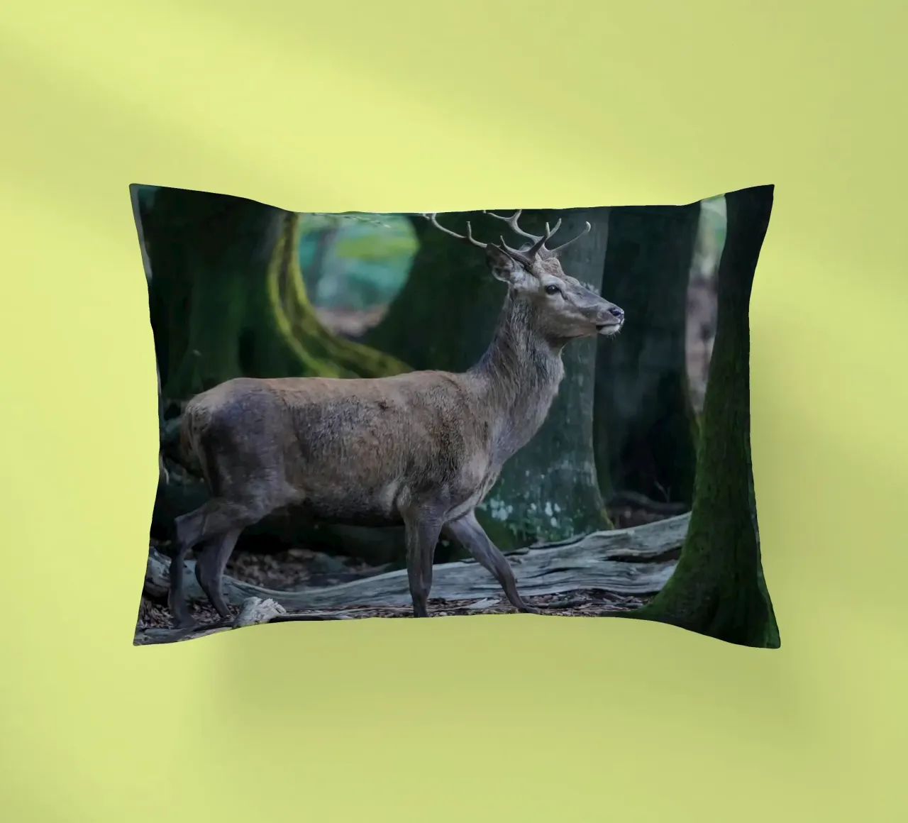 Cervo rosso nella foresta cuscino da Tom's Wildlife