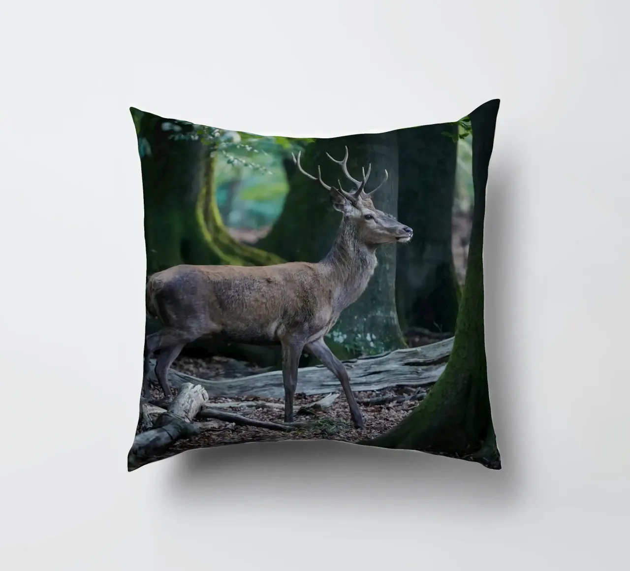 Cervo rosso nella foresta cuscino da Tom's Wildlife