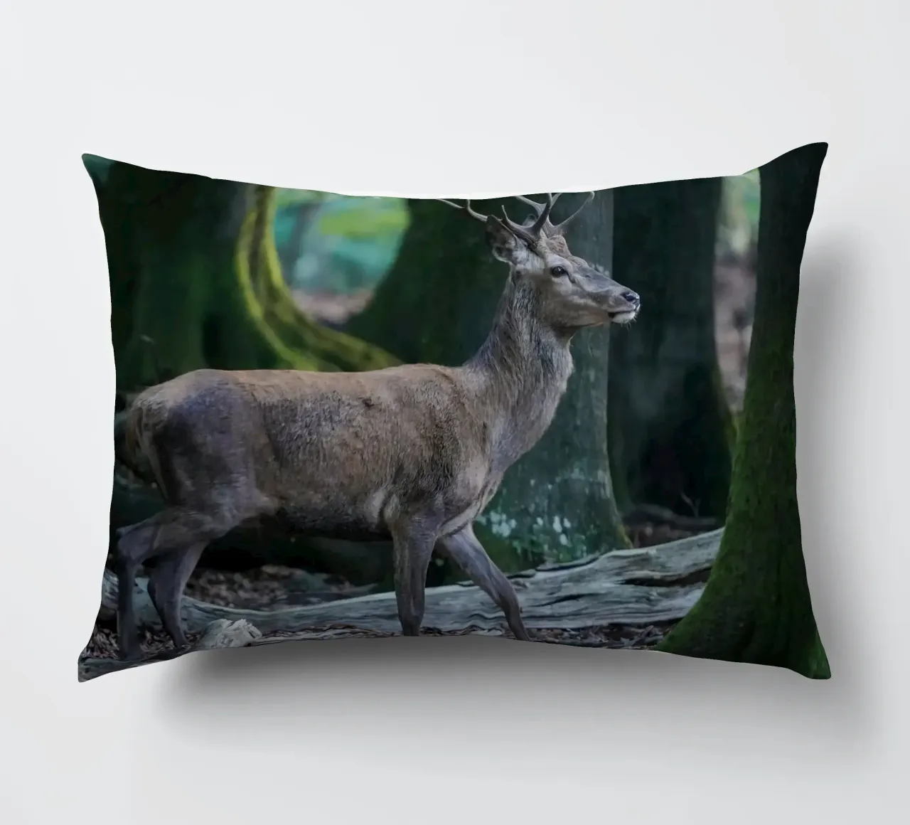 Cervo rosso nella foresta cuscino da Tom's Wildlife