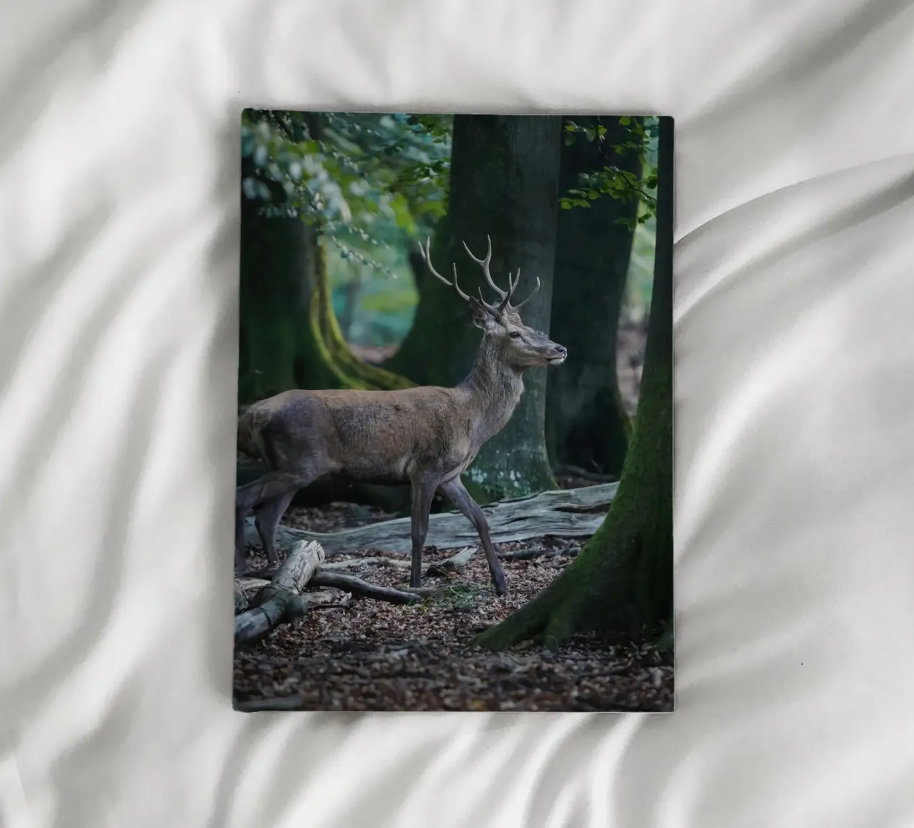 Red deer in the forest notebook by Tom's Wildlife
