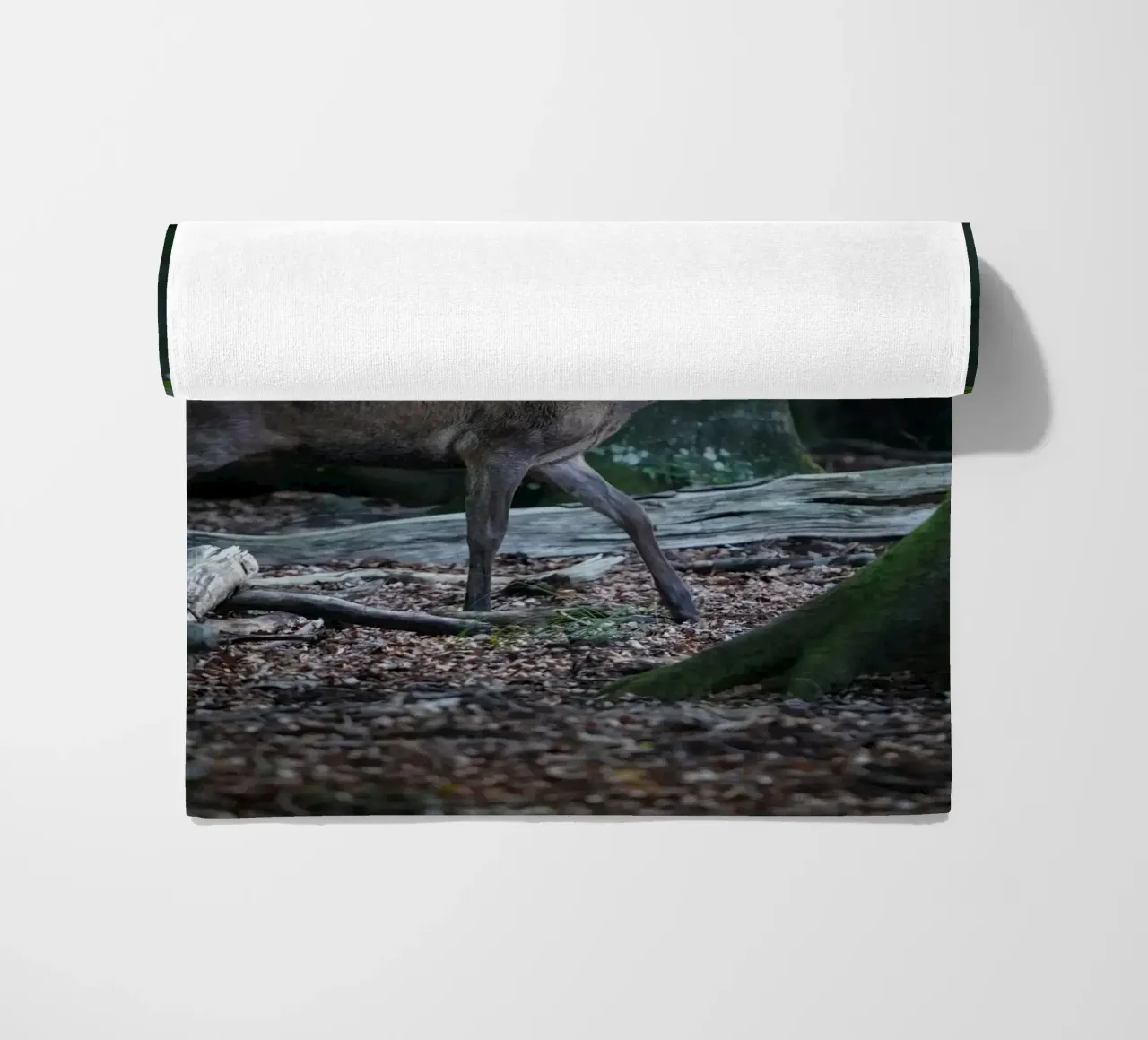 Cervo rosso nella foresta telo mare da Tom's Wildlife