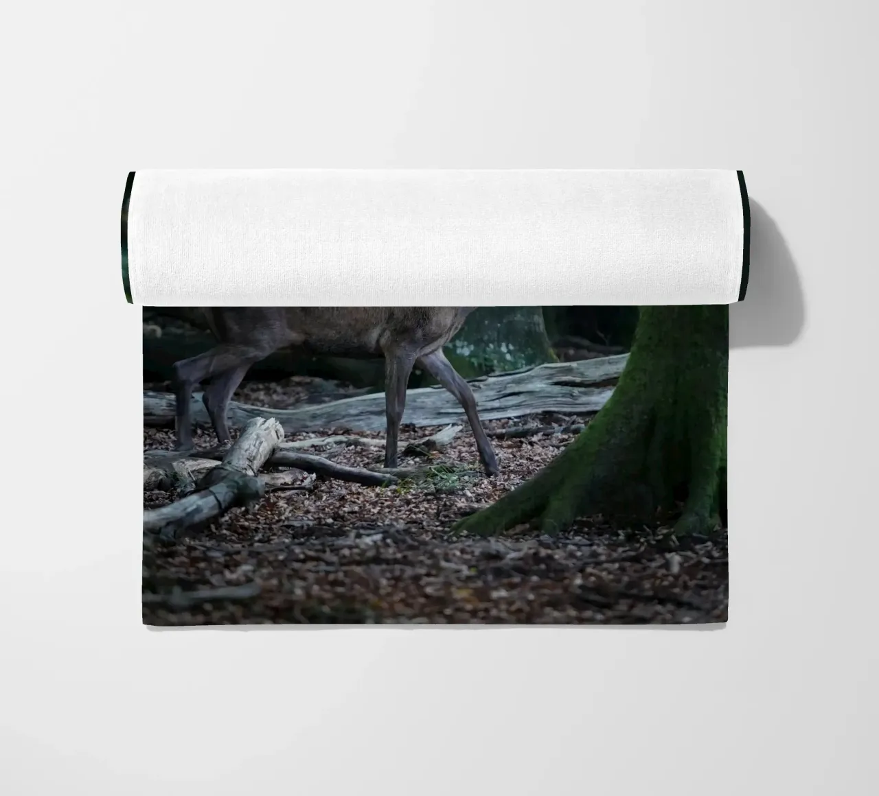 Cervo rosso nella foresta telo mare da Tom's Wildlife