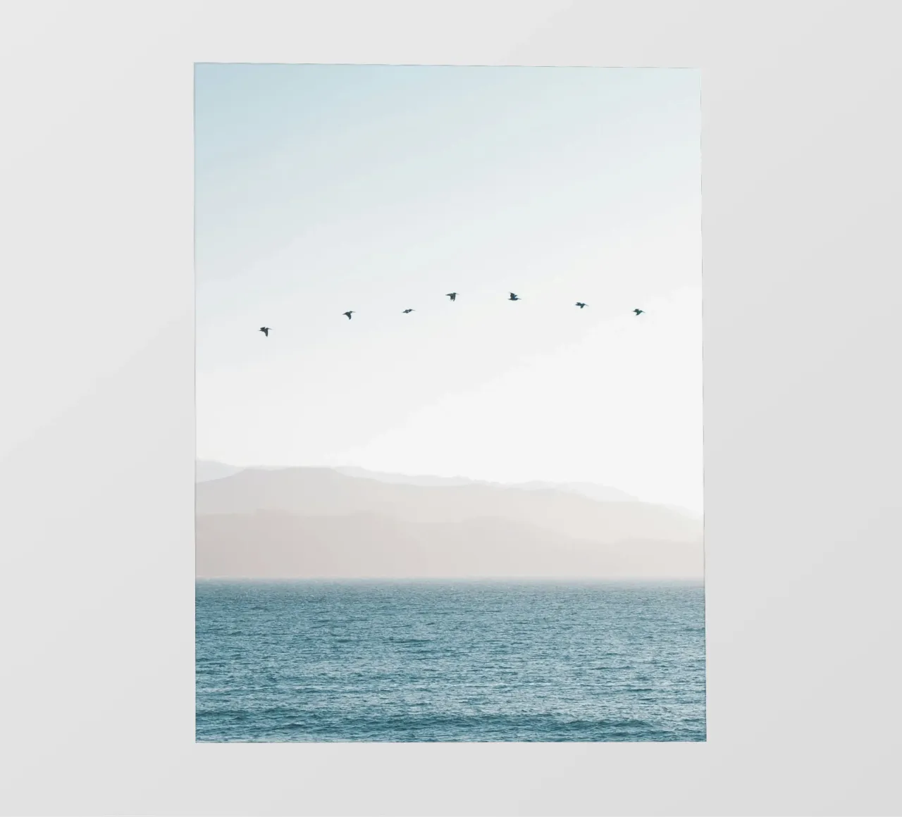 bird line on sky pellicola backlit da juli