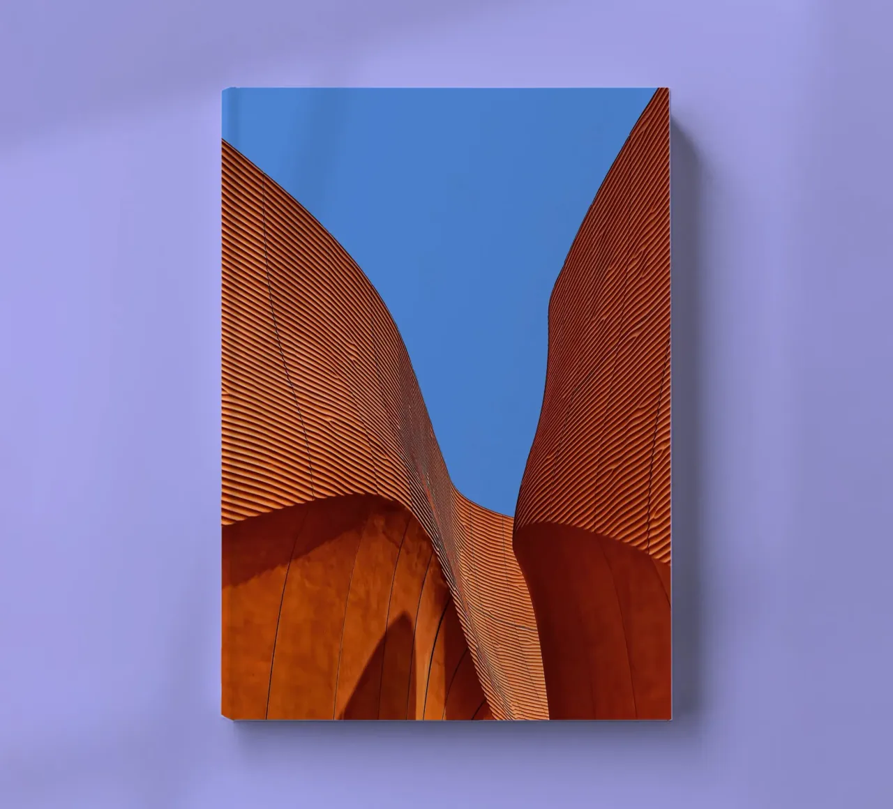 striped curve architect diario da juli