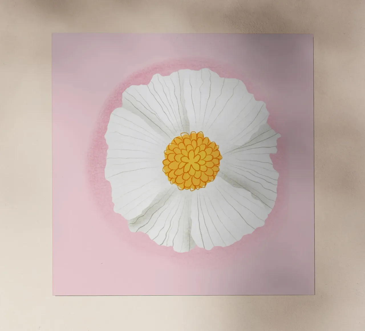 circle flower in pink shade pellicola backlit da juli