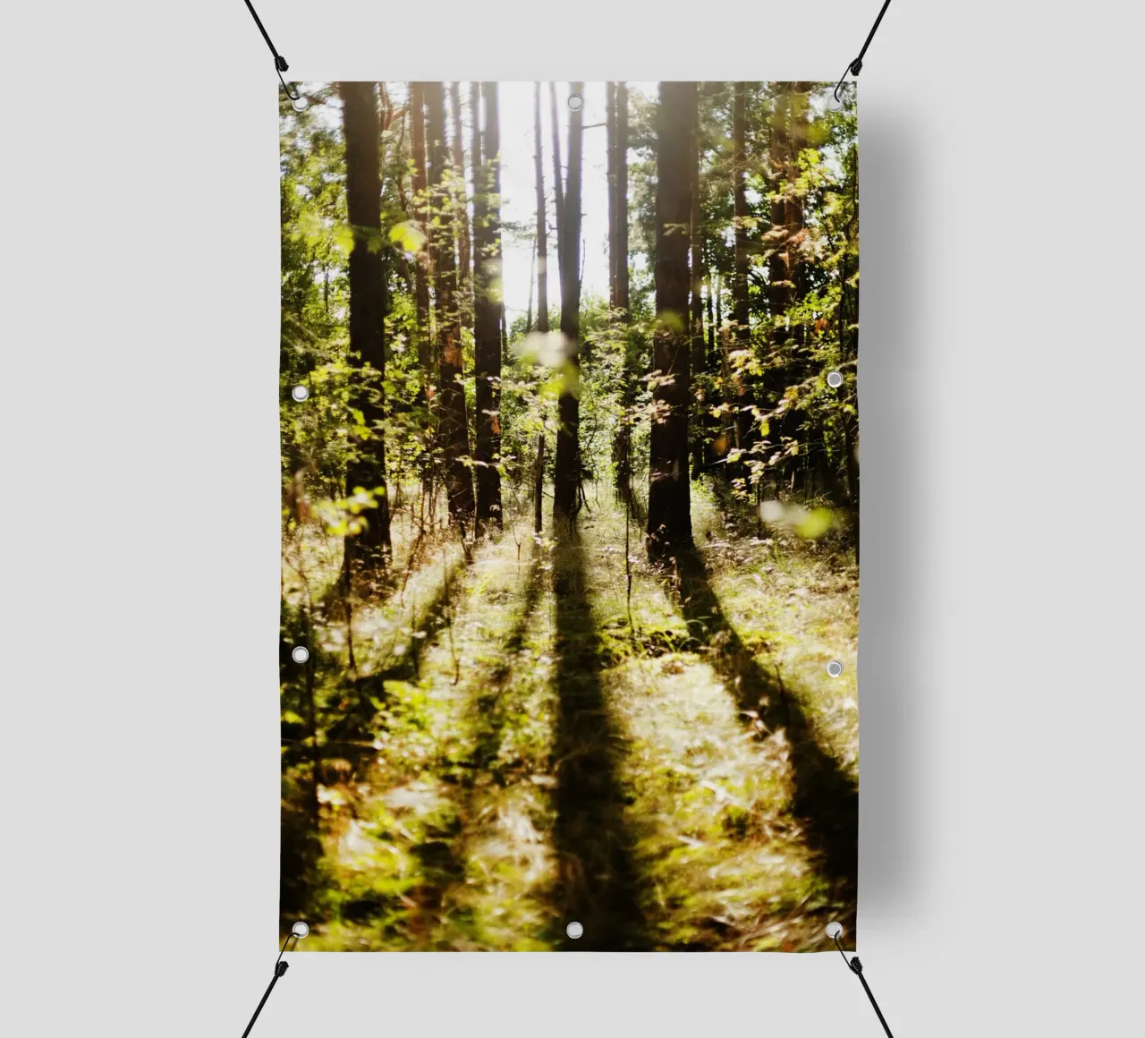 Alberi a Brandeburg telo in pvc da Simon Koy