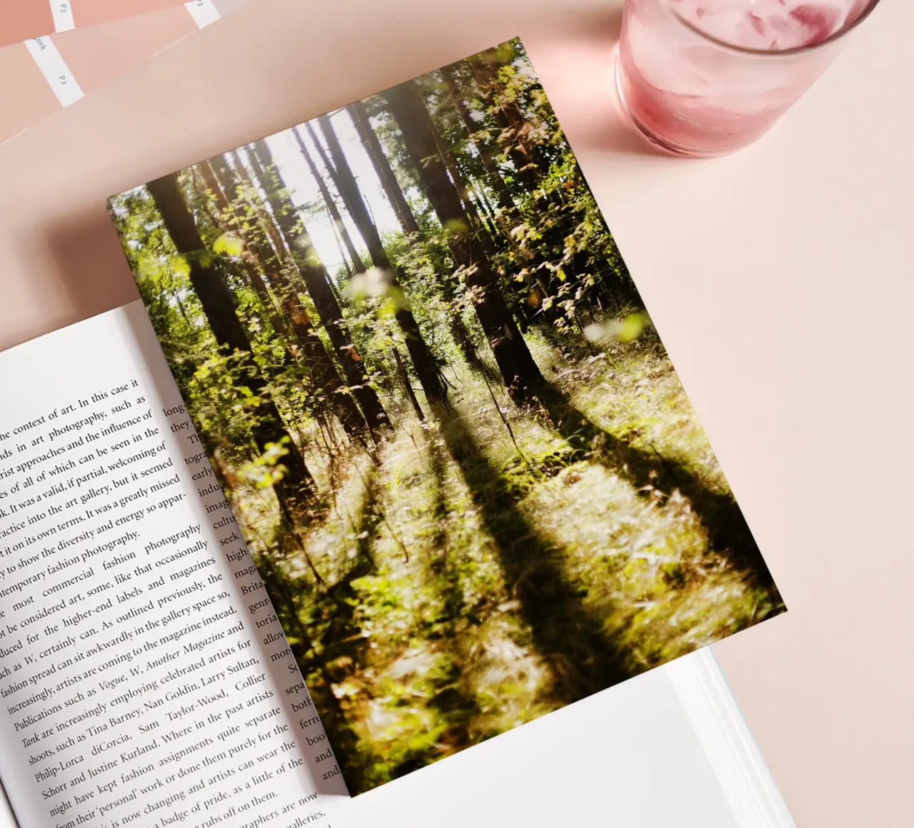 Trees in Brandeburg notebook by Simon Koy