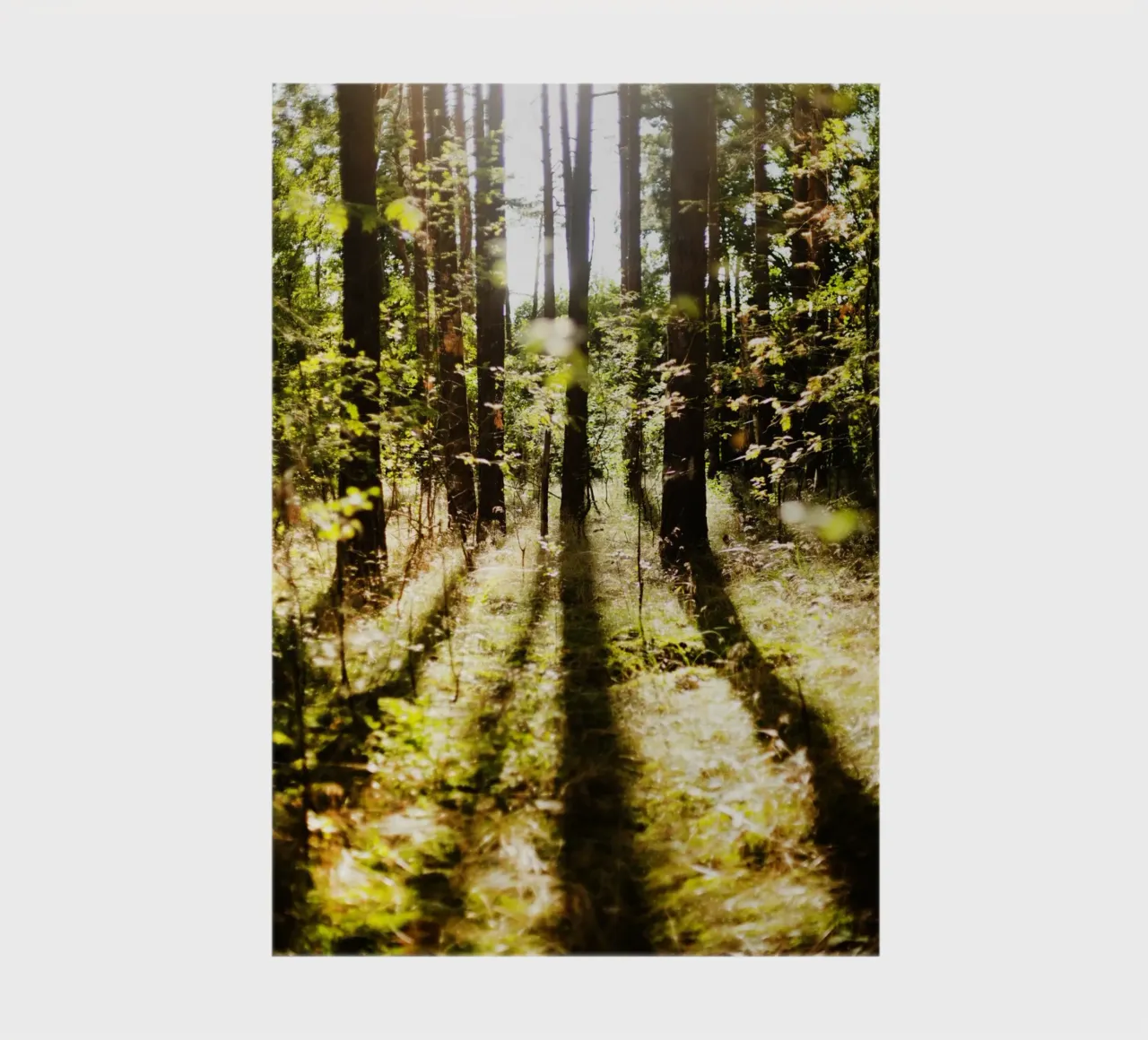 Trees in Brandeburg notebook by Simon Koy