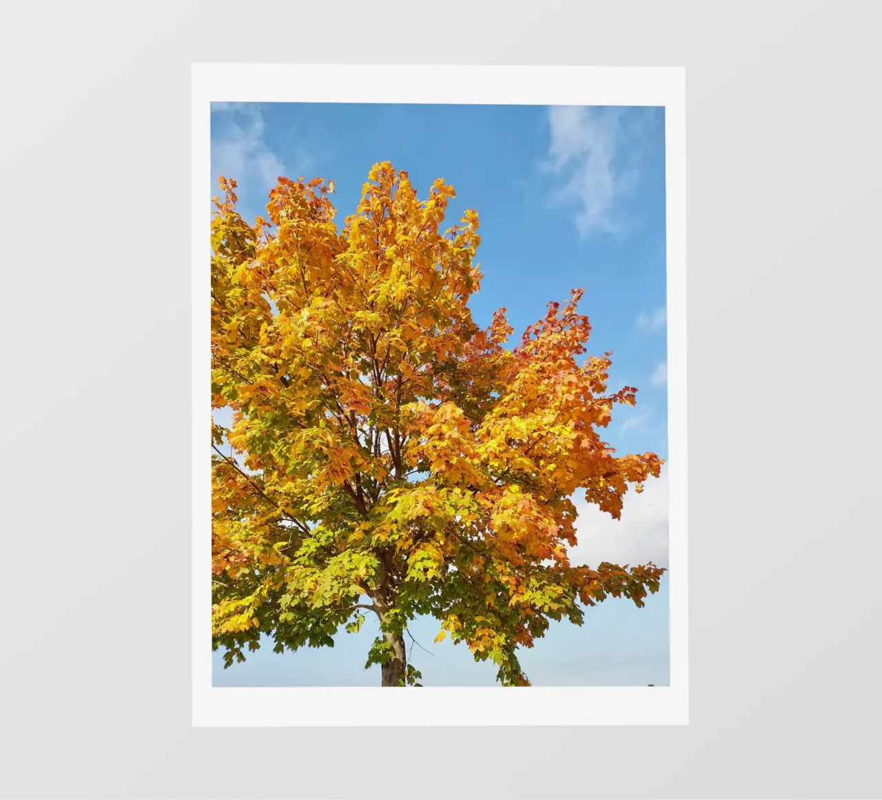 Luci d'autunno telo in pvc da SunflowerDE