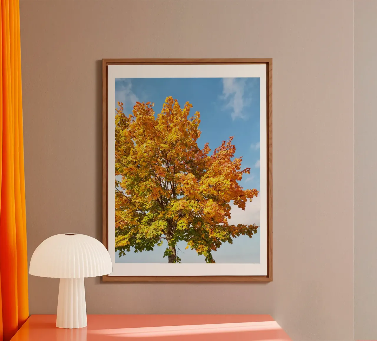 Luci d'autunno alluminio dibond da SunflowerDE