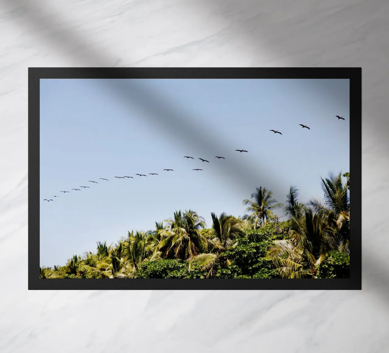 Uccelli in Costa Rica zerbino da fotokunst
