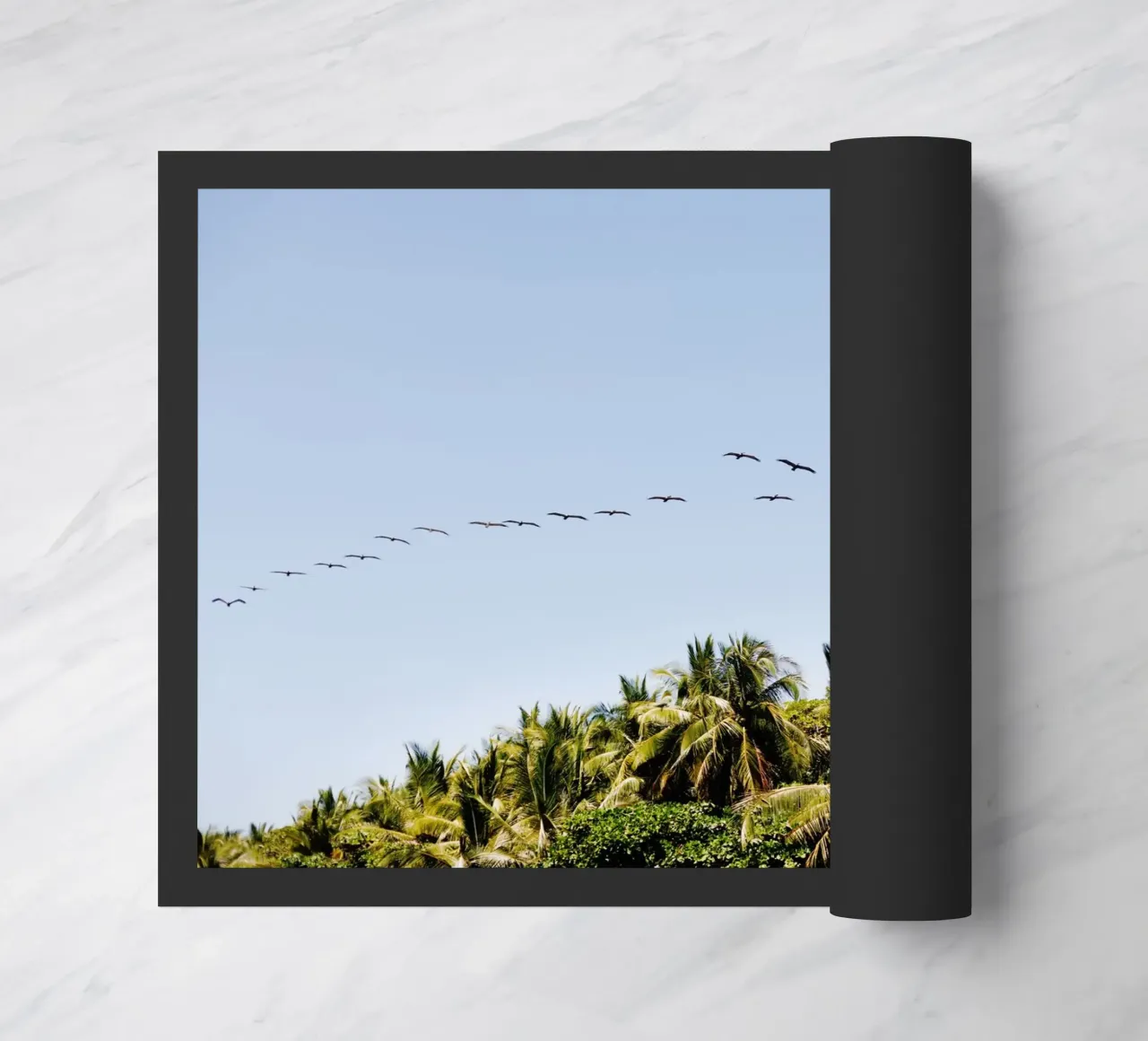 Uccelli in Costa Rica zerbino da fotokunst