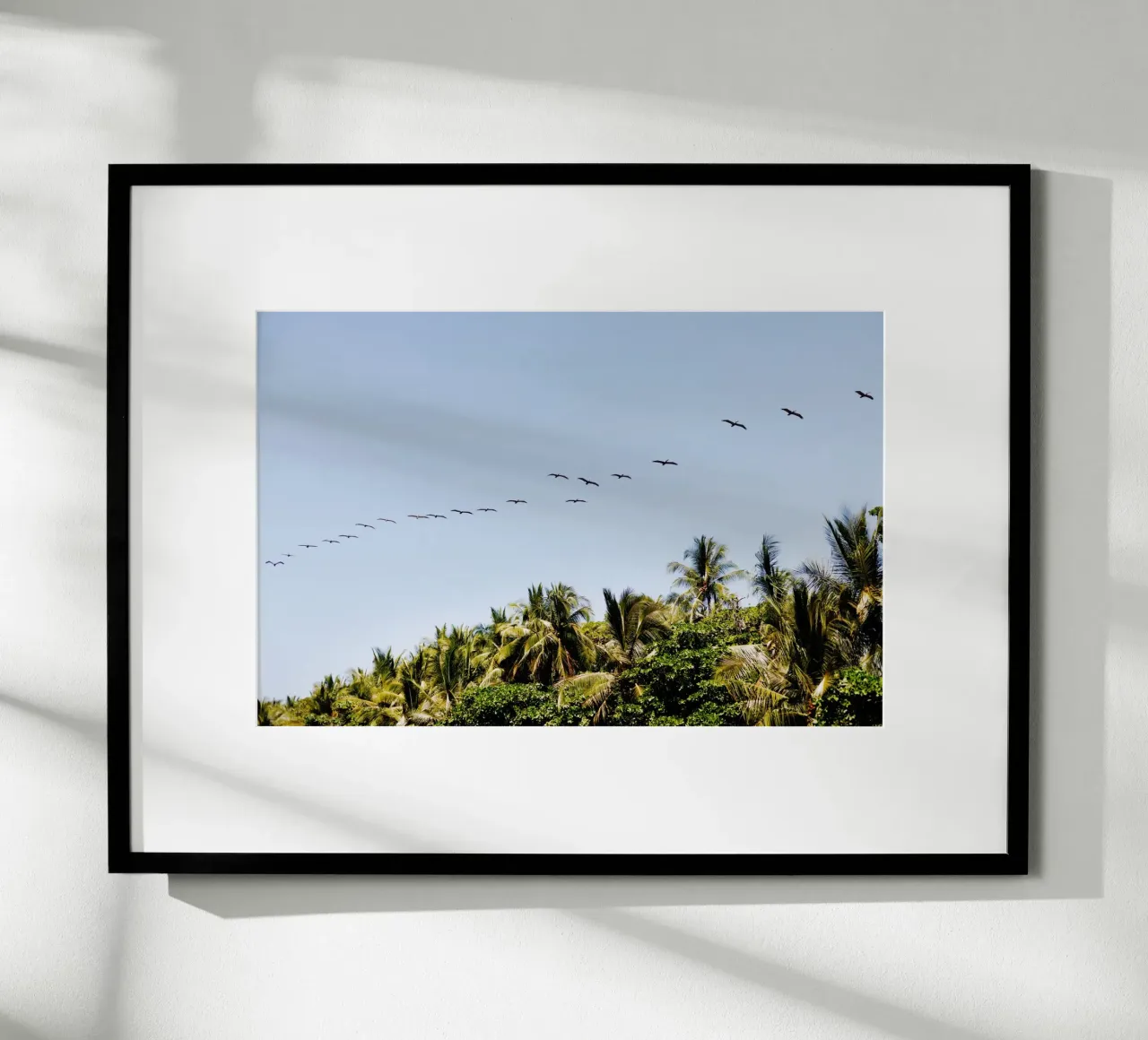 Vogels in Costa Rica poster van fotokunst