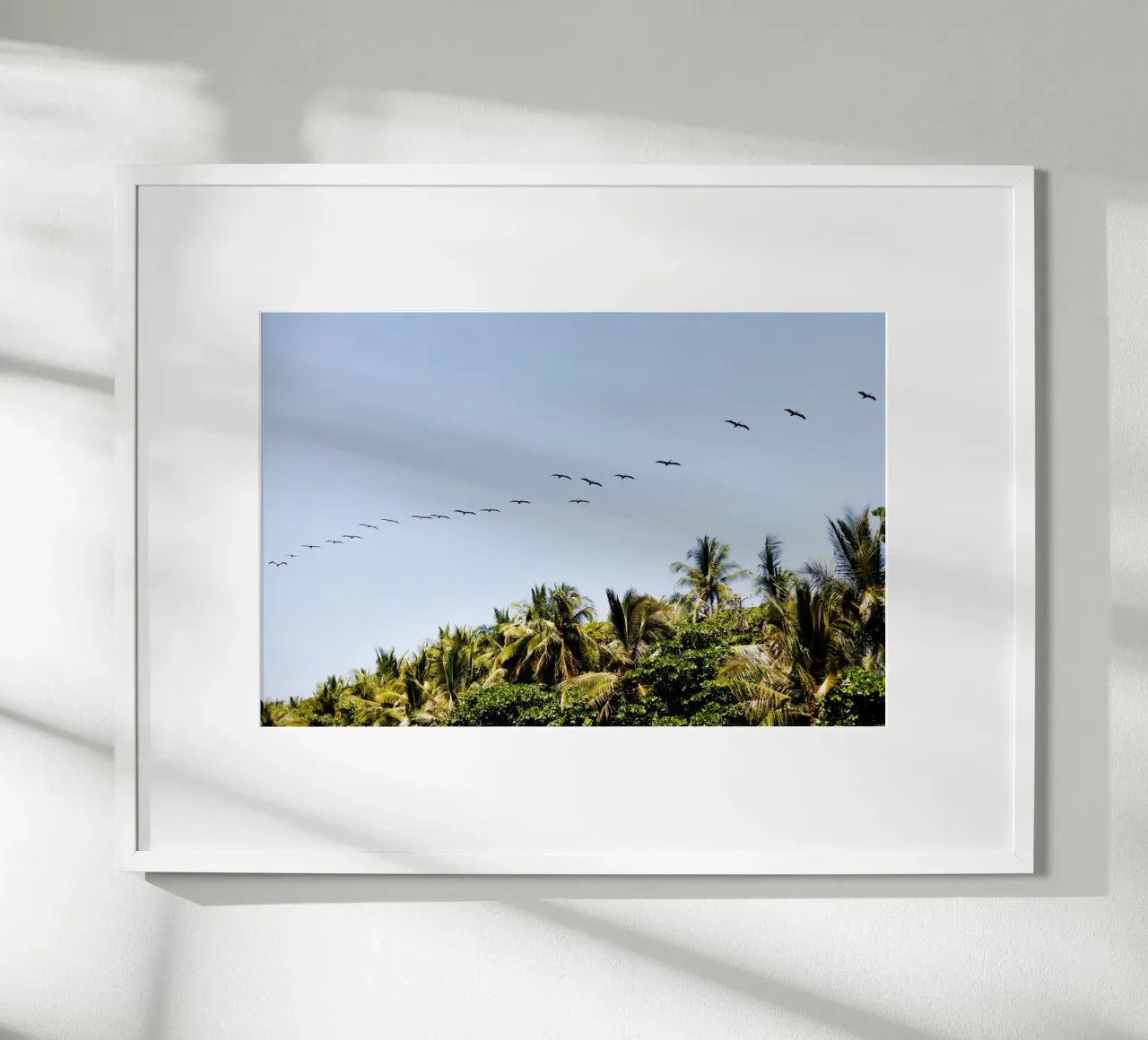 Vogels in Costa Rica poster van fotokunst