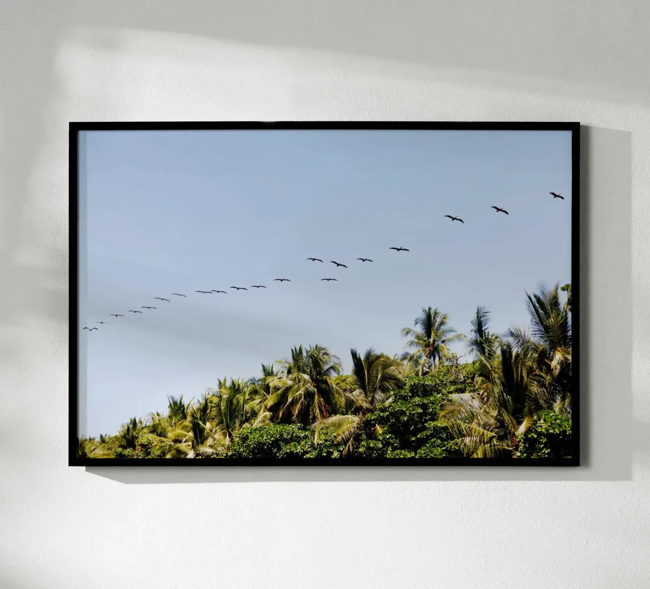 Vogels in Costa Rica poster van fotokunst