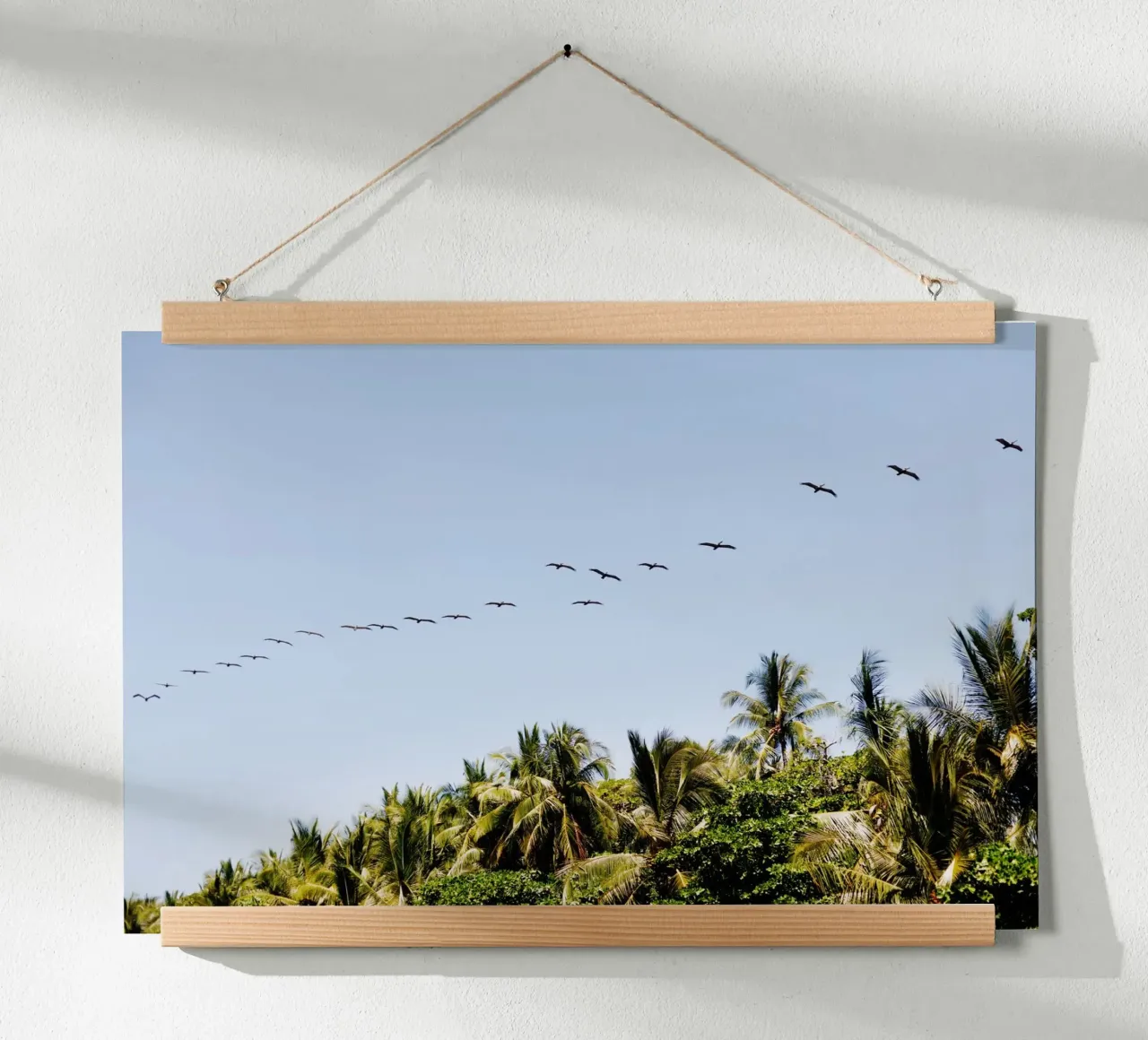 Vogels in Costa Rica poster van fotokunst