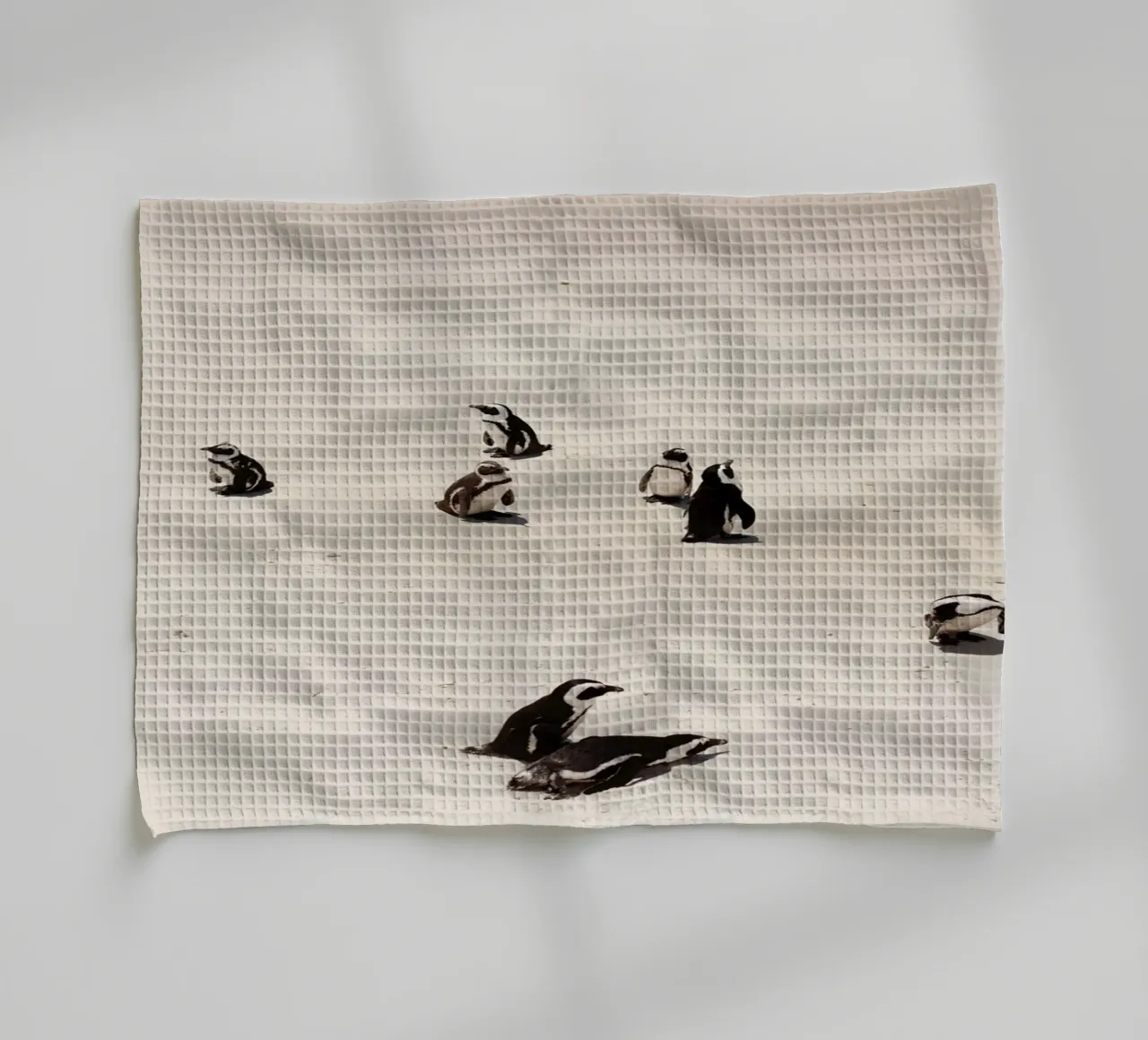 Pinguïns in Zuid-Afrika (Kaapstad) theedoek van Simon Koy
