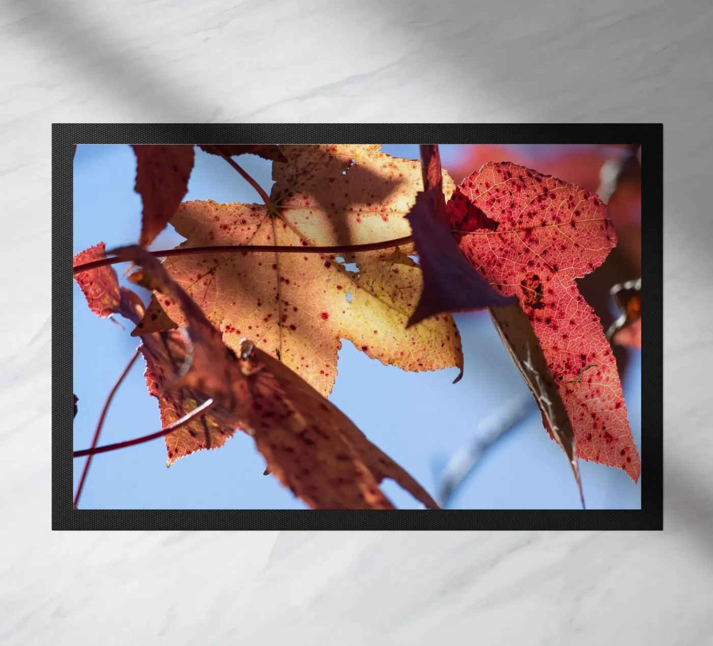 Herfstdagen #3 deurmat van rafael campezato