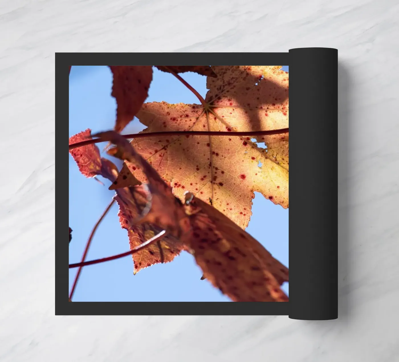 Herfstdagen #3 deurmat van rafael campezato