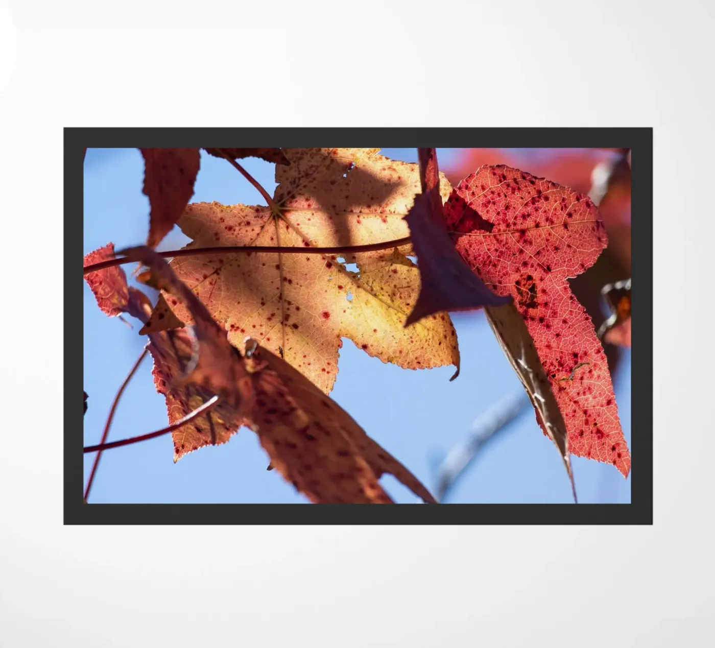 Herfstdagen #3 deurmat van rafael campezato