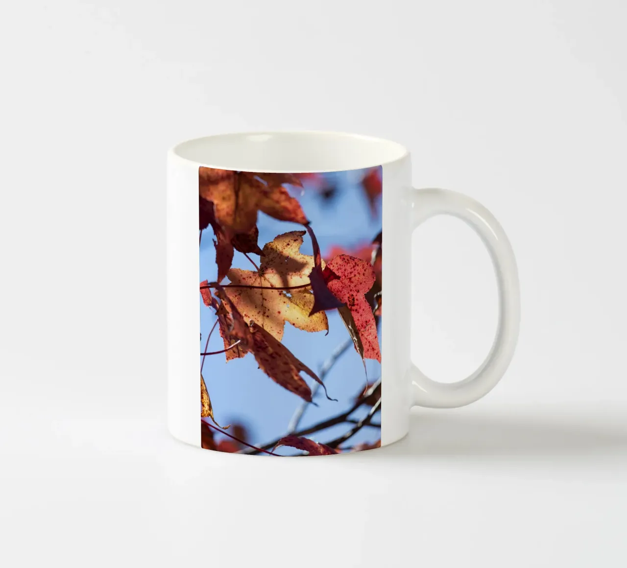 Giorni d'autunno #3 tazza in ceramica da rafael campezato