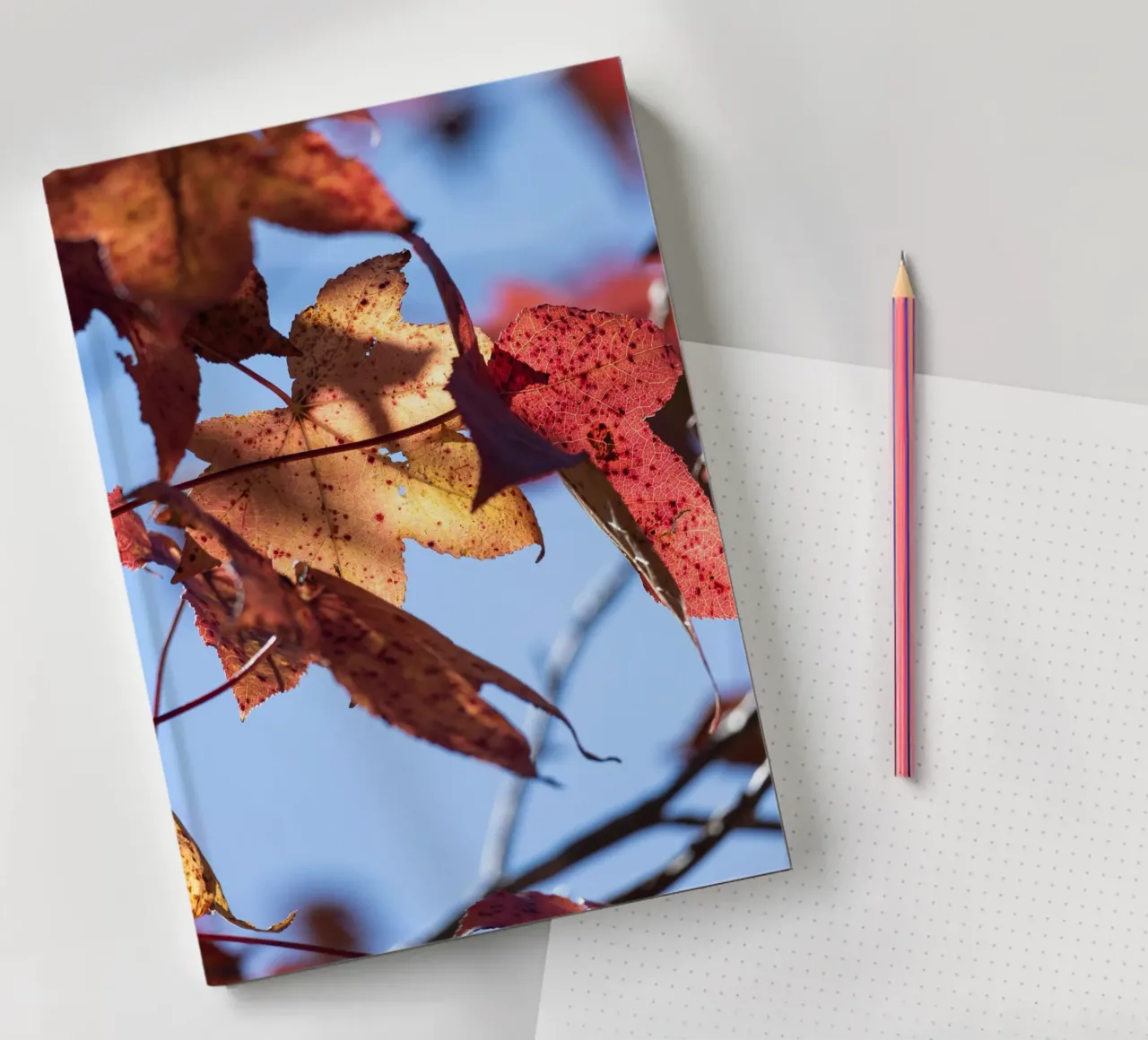 Autumn Days #3 notebook by rafael campezato