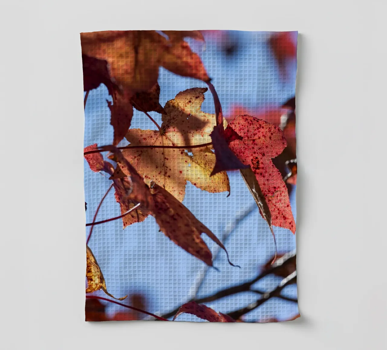 Journées d'automne #3 torchon de rafael campezato