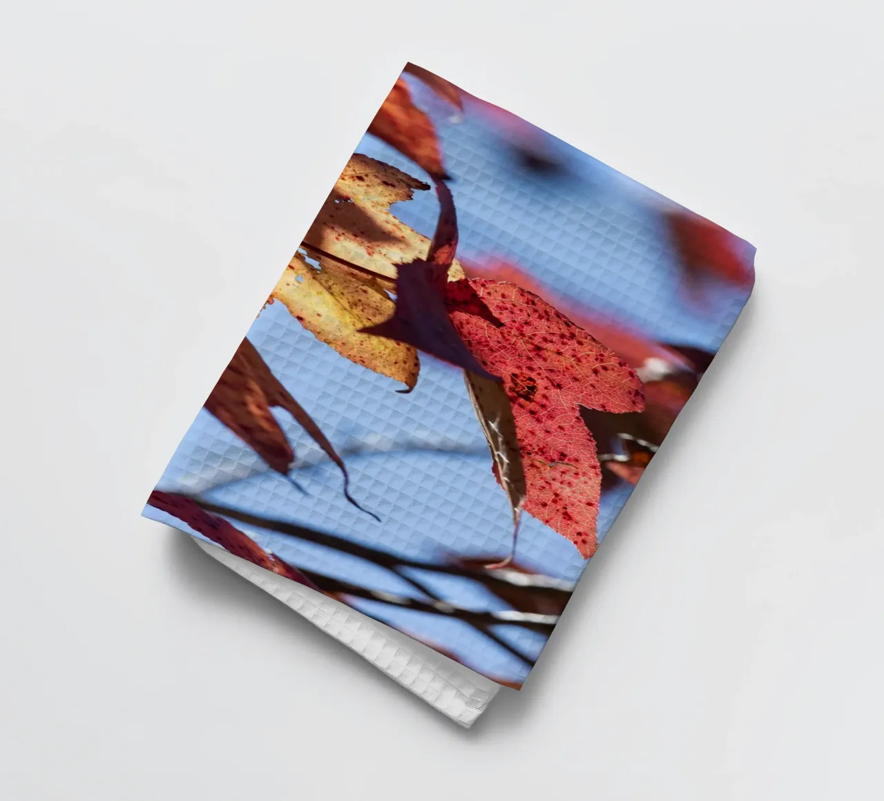Journées d'automne #3 torchon de rafael campezato