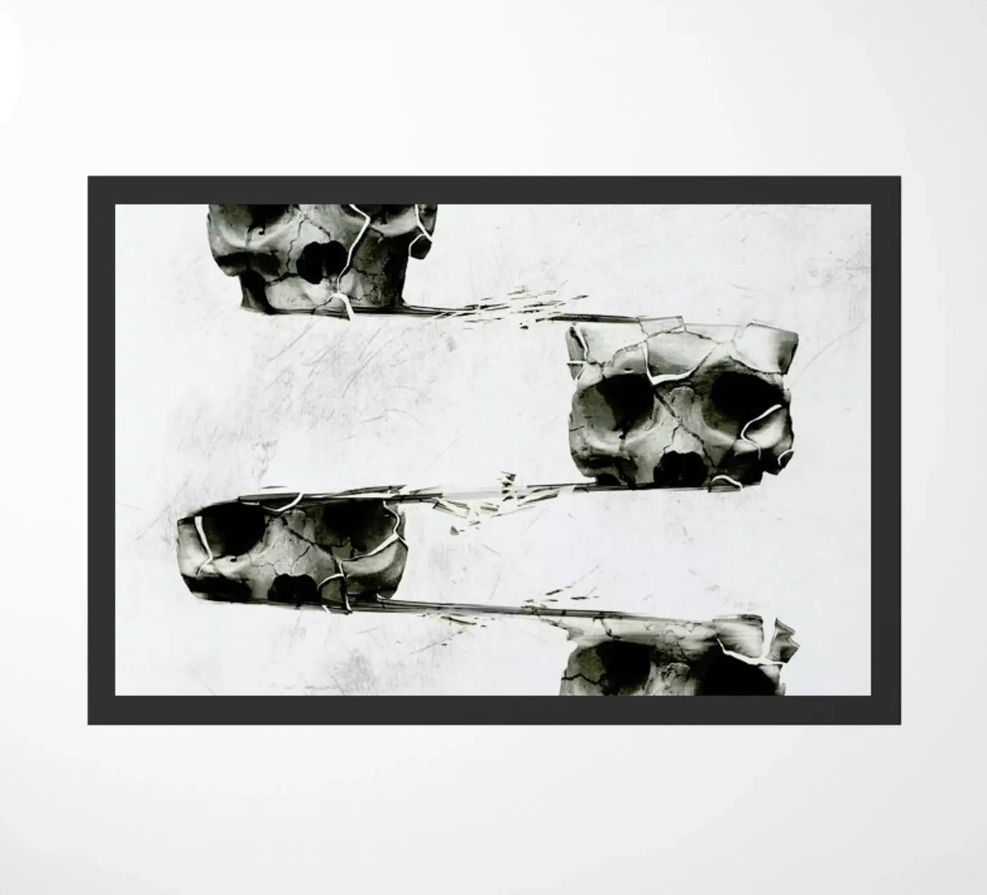 Skull III zerbino da Ali Gulec