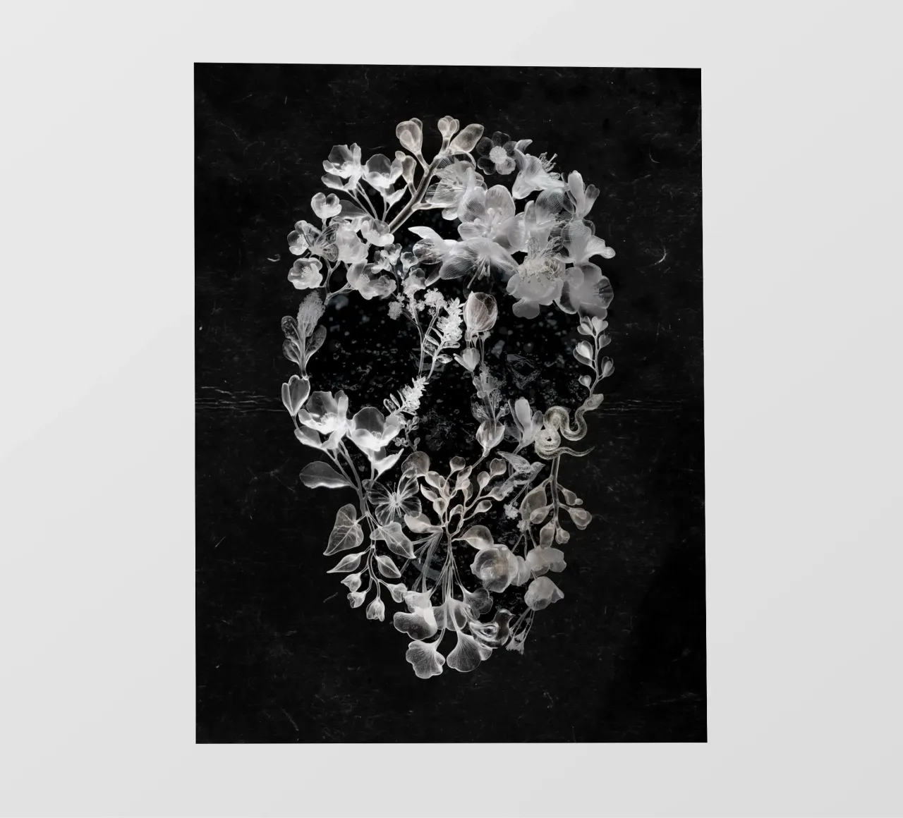 Glass Skull pellicola backlit da Ali Gulec