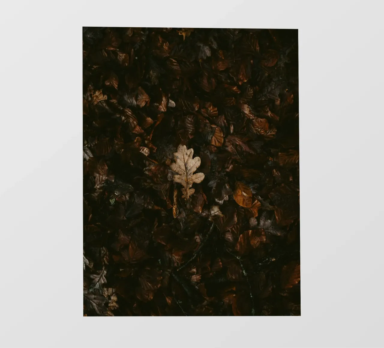leaf in shadow shade telo in pvc da Monel