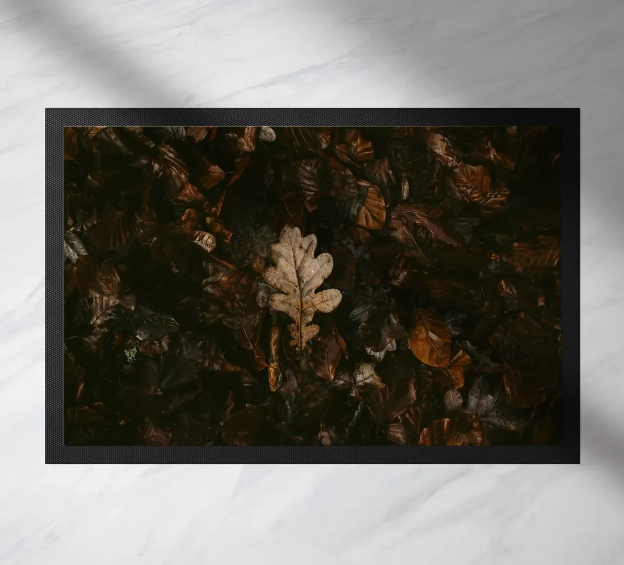 leaf in shadow shade zerbino da Monel