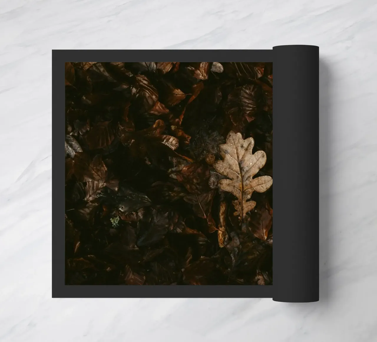 leaf in shadow shade zerbino da Monel