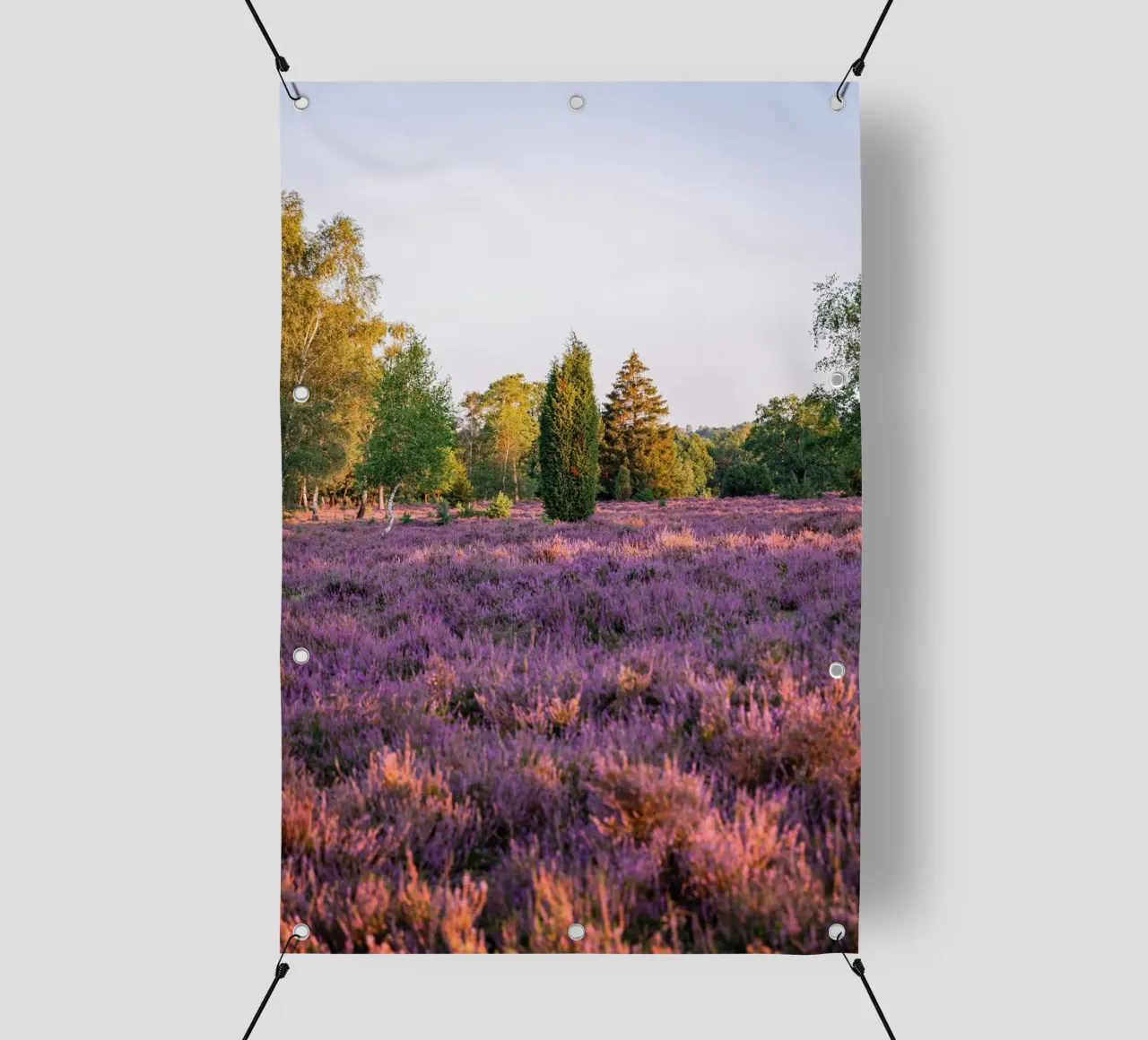 tree on pink grass telo in pvc da Fost