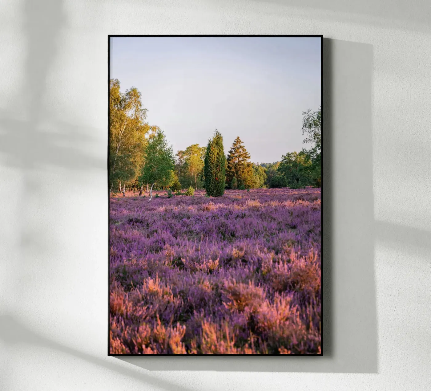 tree on pink grass plexiglass da Fost